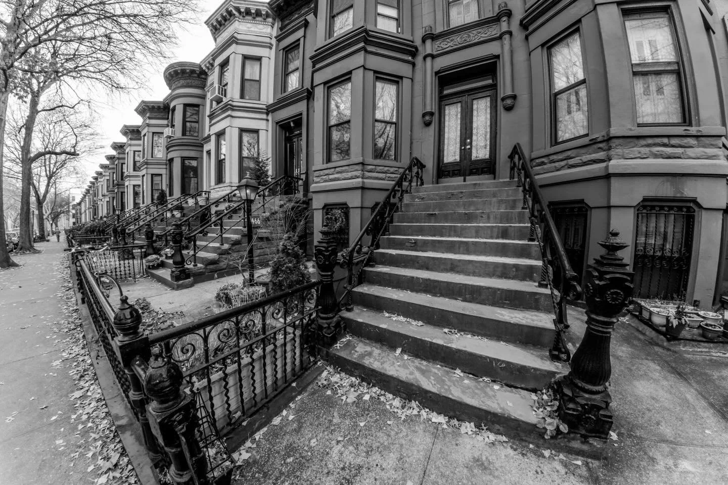 Lately I&rsquo;ve been thinking about my life in Park Slope, Brooklyn&mdash;ten years ago, when December didn&rsquo;t so much arrive as clamp down like an angry freezer door. Prospect Park looked like it had been unplugged and left out overnight, and