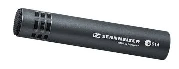 senn-3.jpg