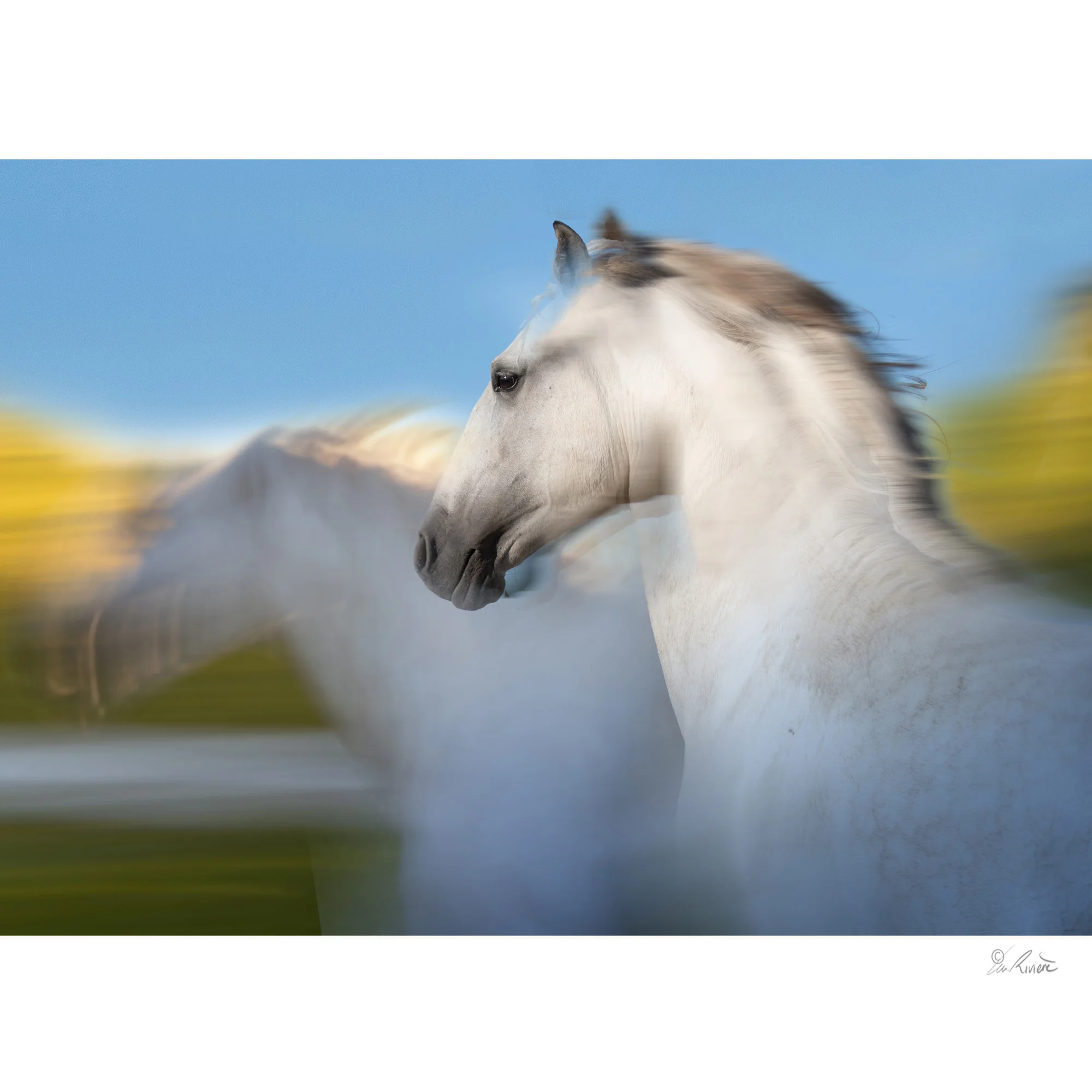 ©LÉA RIVIÈRE_ART_passion_horse1.jpg
