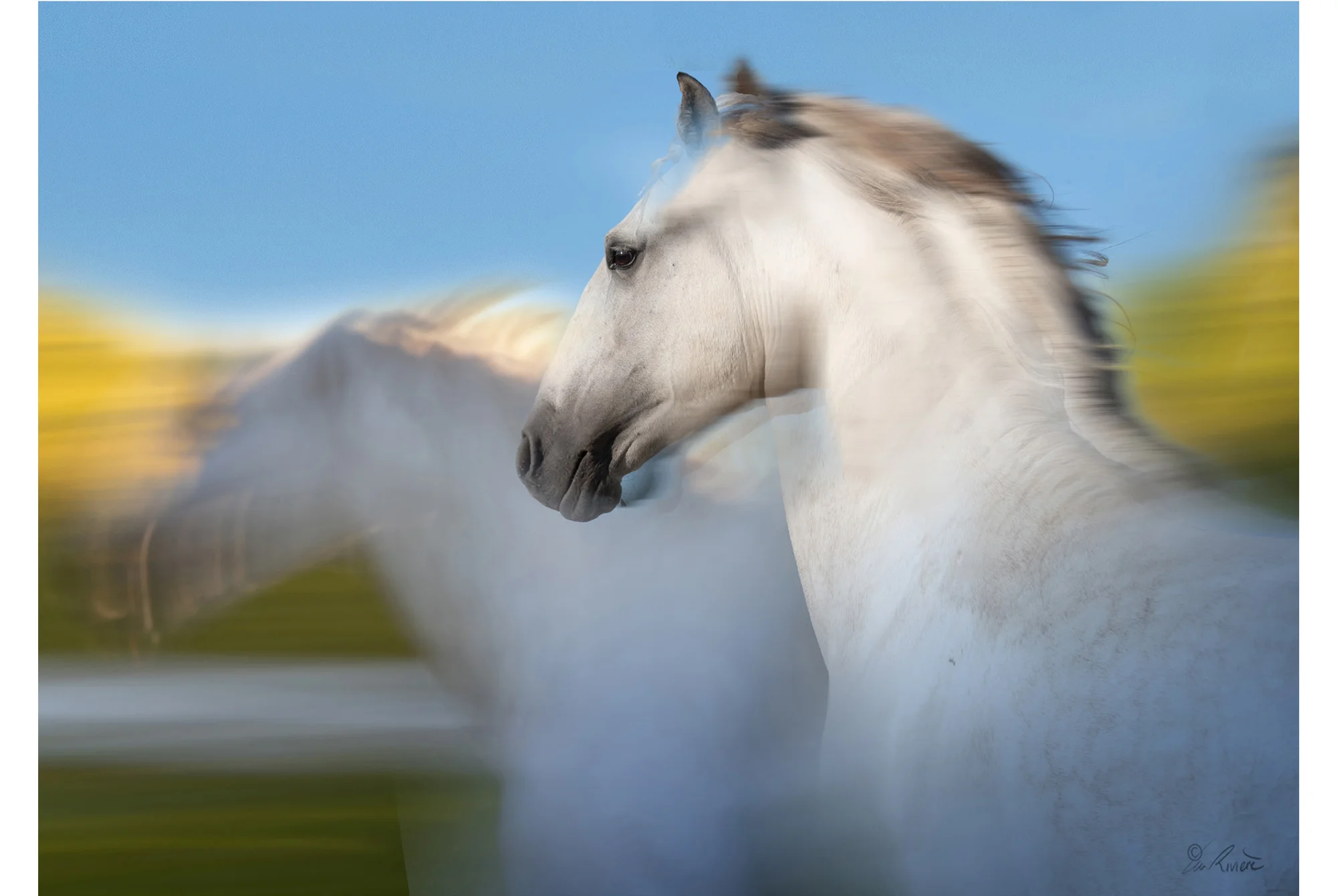 ©LÉA RIVIÈRE_ART_passion_horse1.jpg