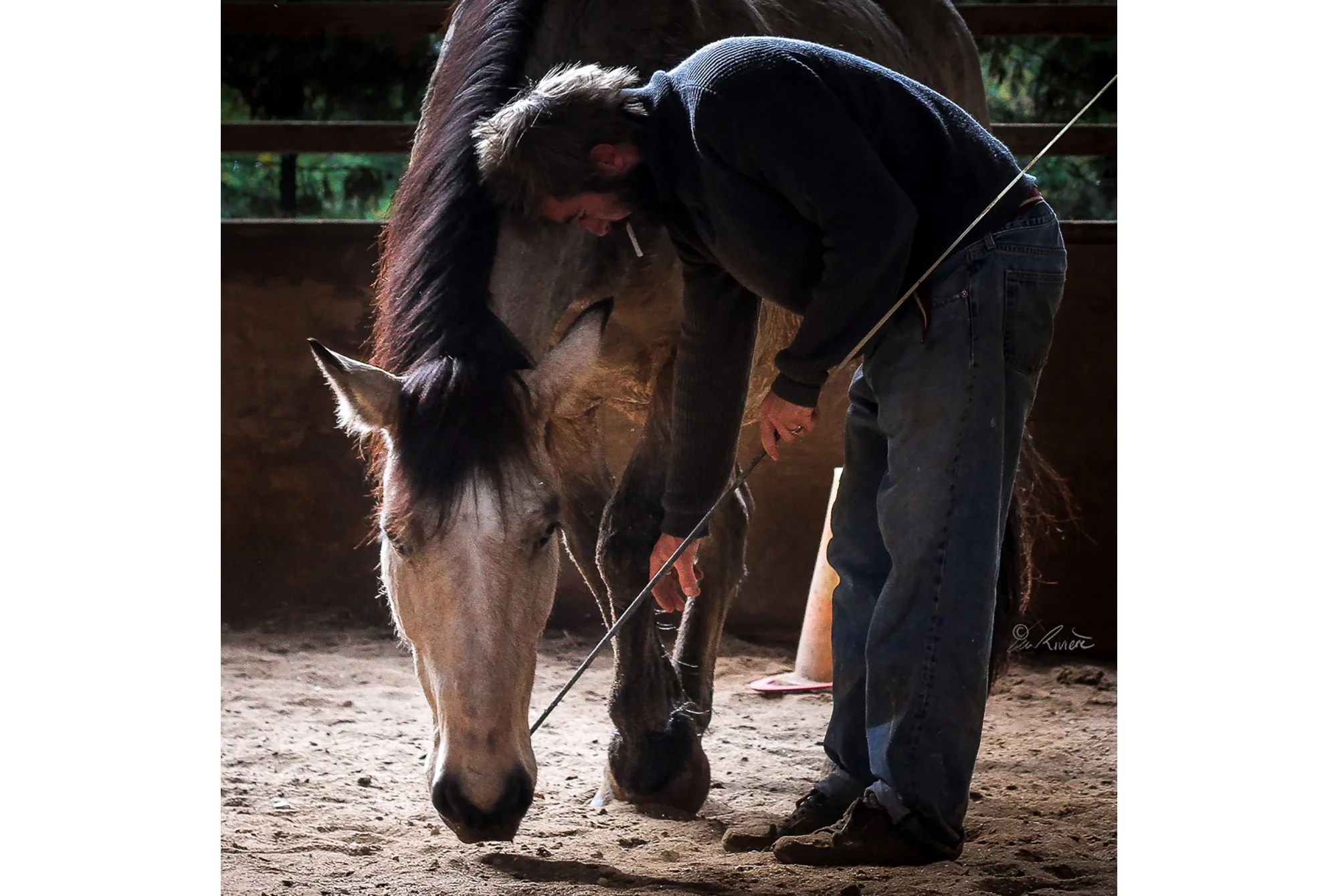 ©LÉA RIVIÈRE_ART_passion_horse2.jpg