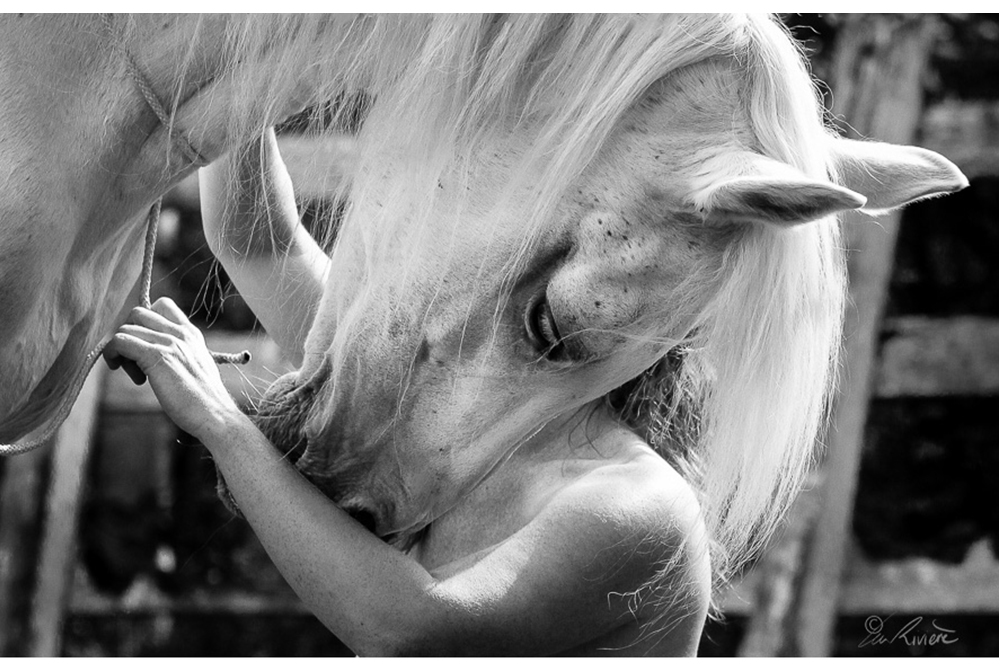 ©LÉA RIVIÈRE_ART_passion_horse4.jpg