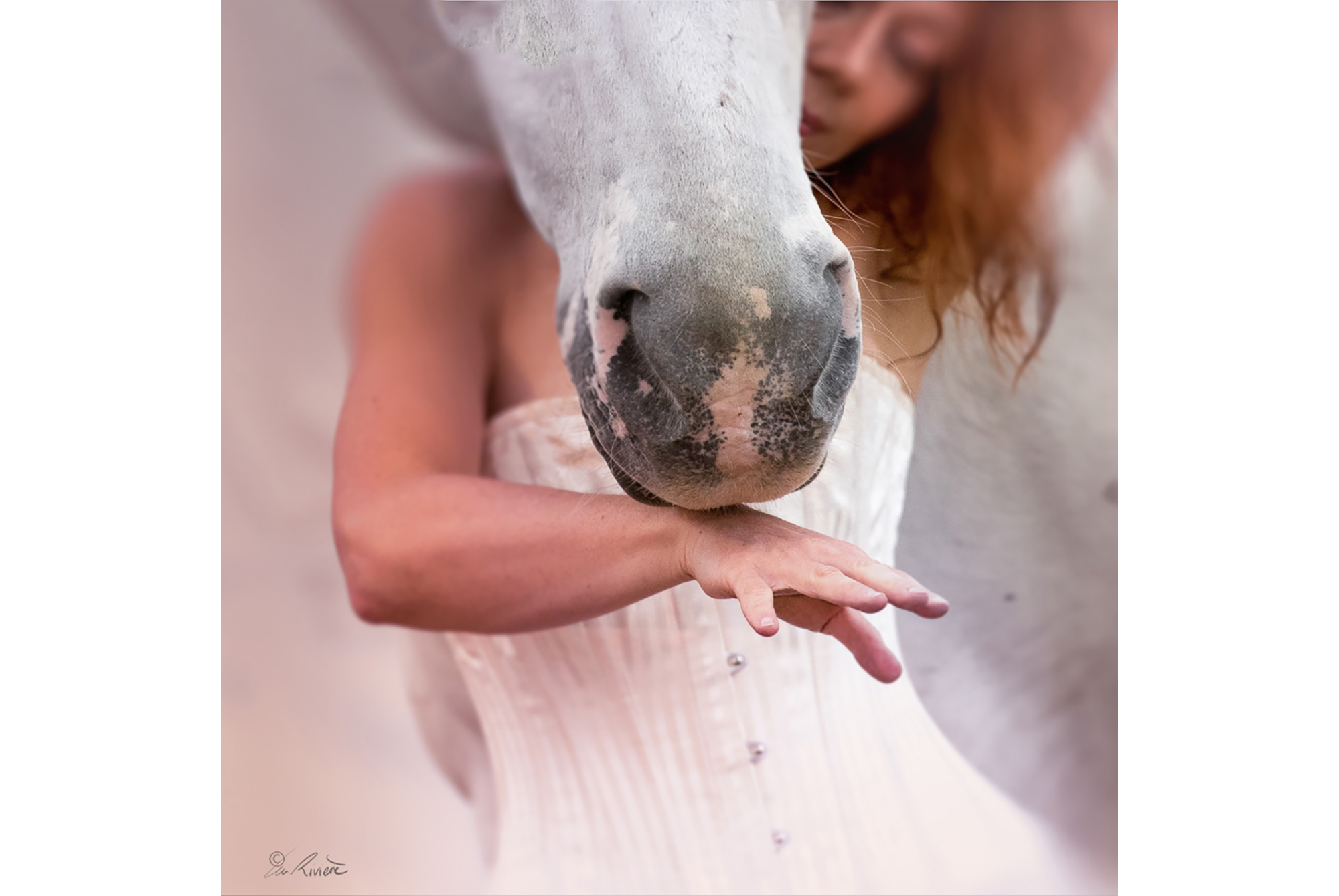 ©LÉA RIVIÈRE_ART_passion_horse5.jpg