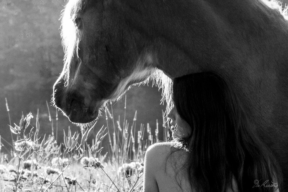 ©LÉA RIVIÈRE_ART_passion_horse8.jpg
