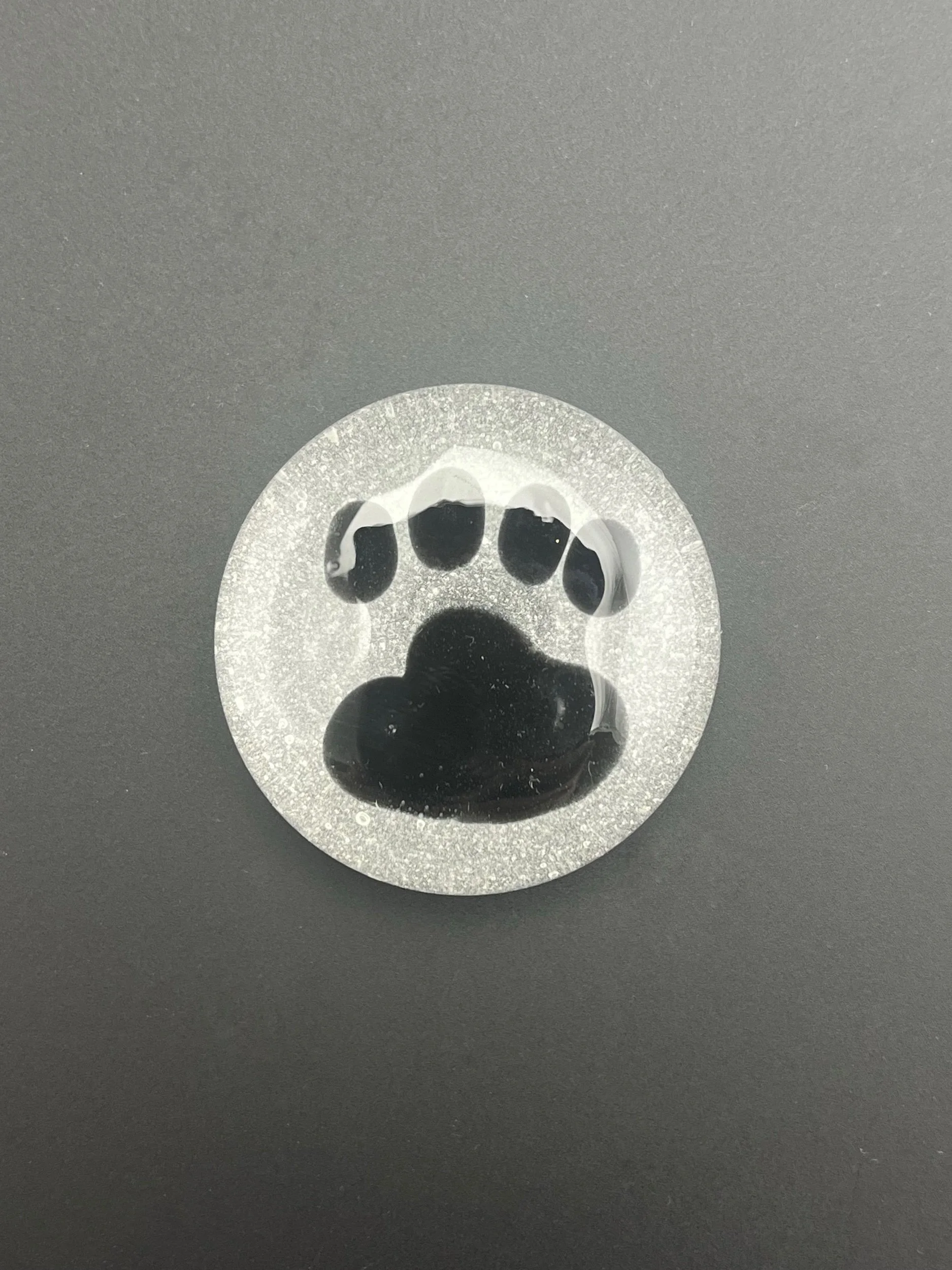 Paw Paperweight
