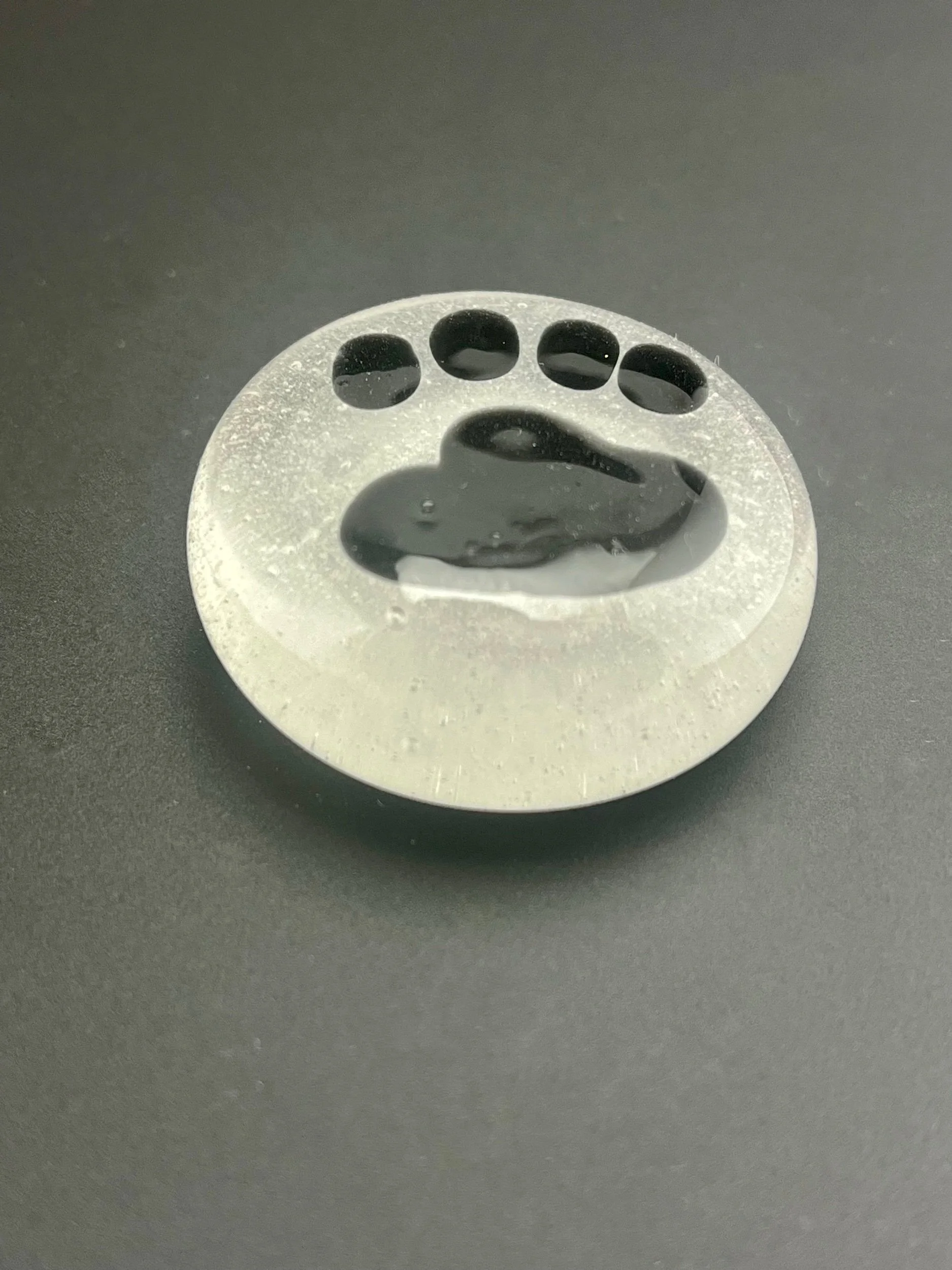 Paw Paperweight
