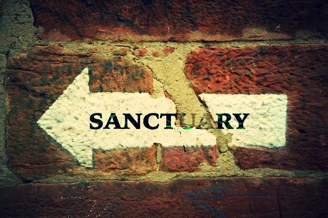 Real Life. Real Impact.