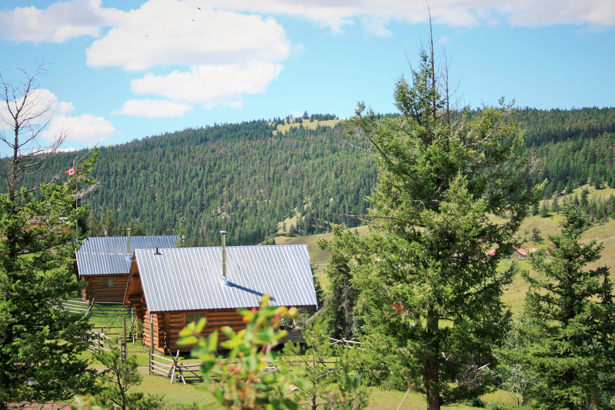 July 2015 098 (2).JPG