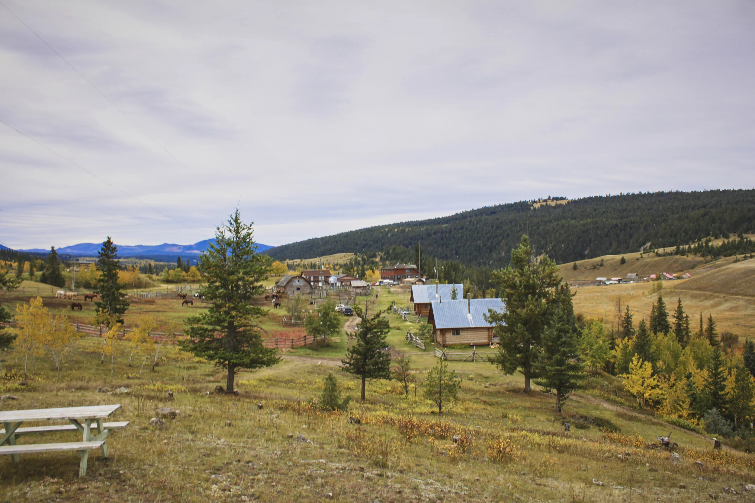 Ranch view of Cabin 1 + 2