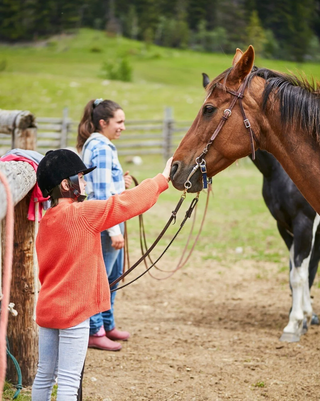 Making new friends 🐴 👱&zwj;♀️
.
.
#horsesofinstagram #explorebc #explorebritishcolumbia #beautifulbritishcolumbia #beautifulbc #guestranch #horsetrails #escapebc #indigenoustourismbc #tripadvisor #bigbarguestranch #thecaribou #canadianvacation #exp