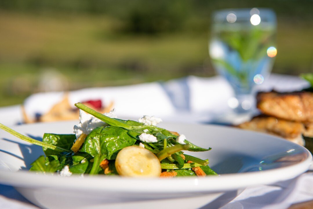 From farm to table&mdash;From table to soul 🍽️
We are working hard on becoming a self-sustaining retreat. You can find all of our delicious produce through a peaceful garden walk when you stay with us 💚
.
📷: @mary.locations 
.
#bigbarguestranch #b