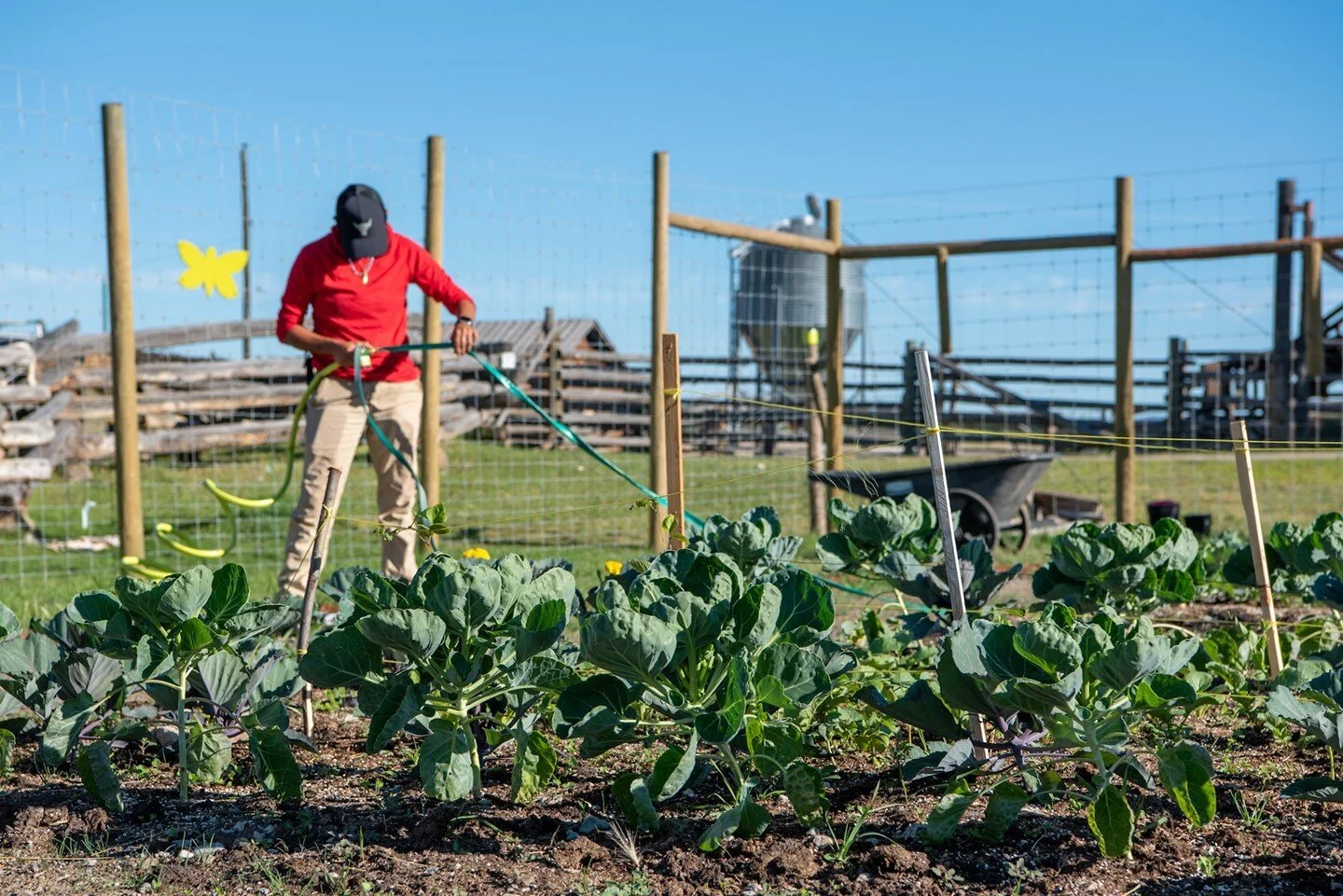 Collecting our organic goodies and seeding for next season 🌱
.
📷 : @mary.locations
.
.
#canadianvacation #canadianescapes #canadianlakes #beautifulbritishcolumbia #beautifulbc #guestranch #canadianguestranch #horseranch #indigenoustourismbc #canadi