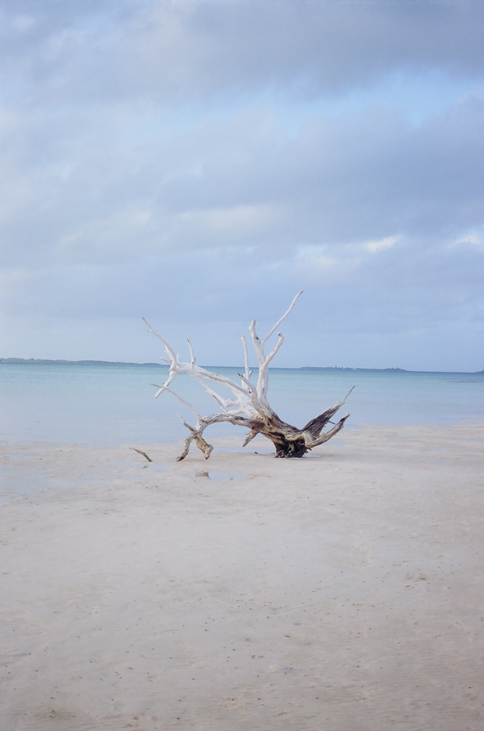 low tide ii