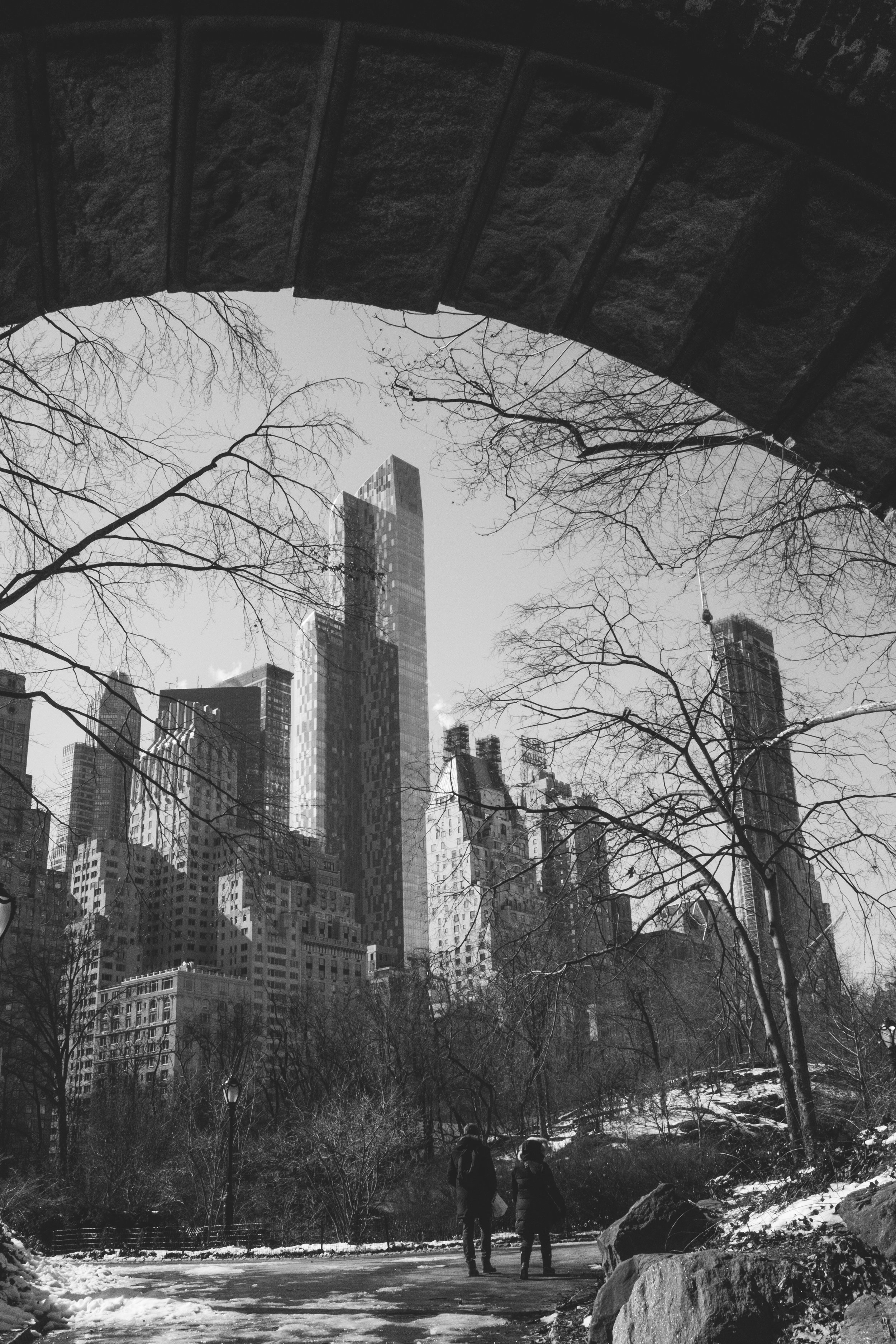 a Frozen Central Park