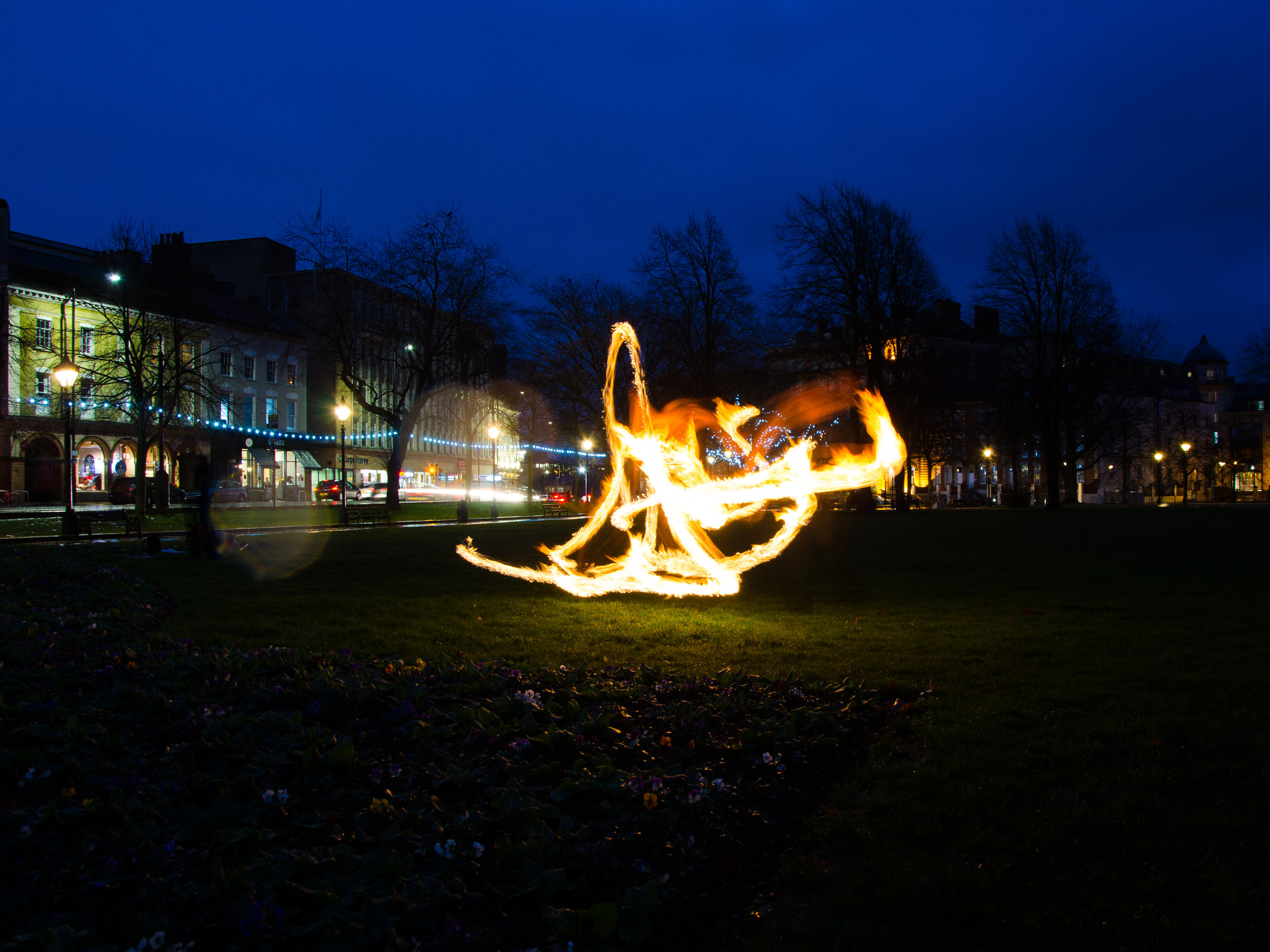 DSC_1320.jpg