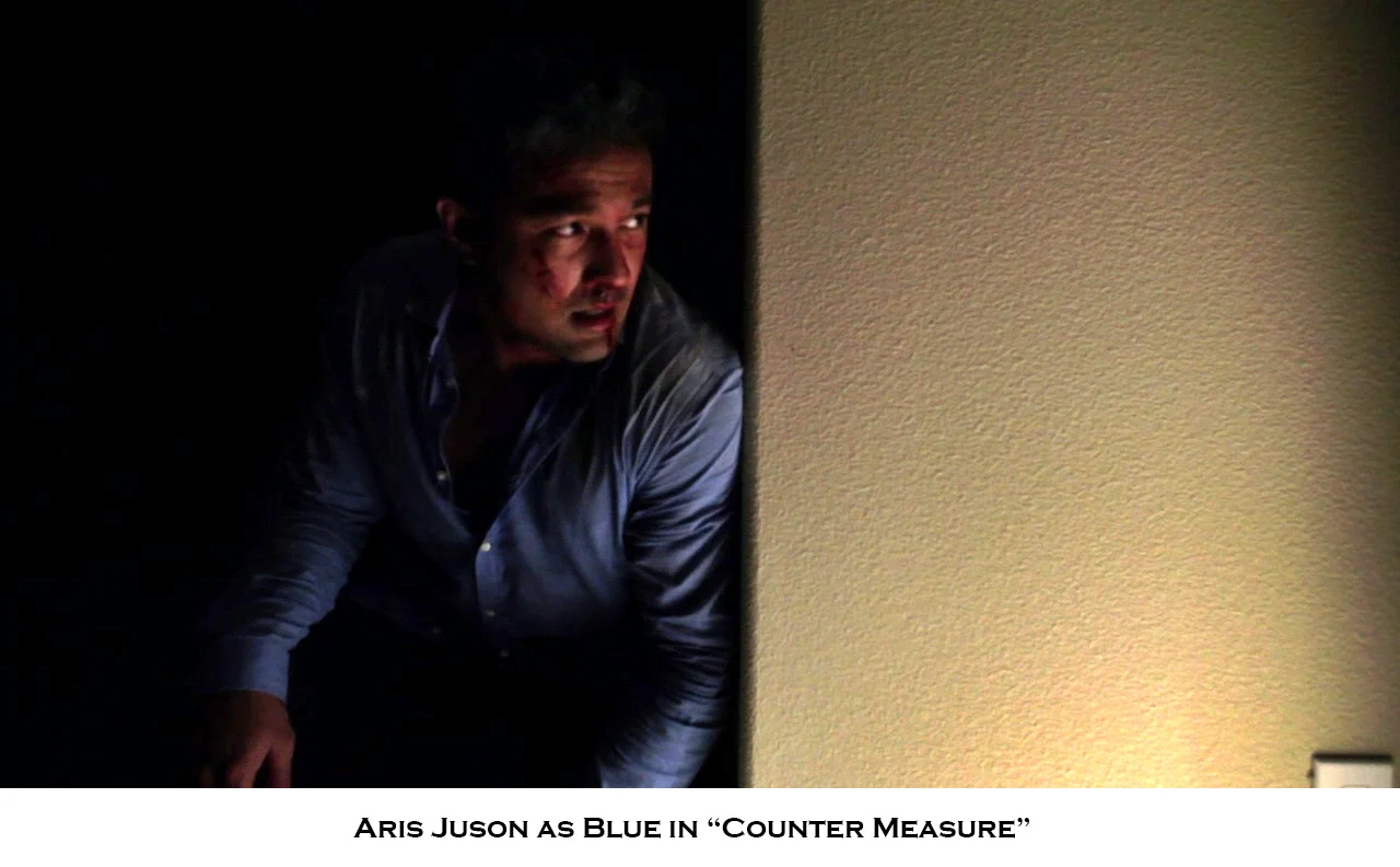 ArisJuson2-CounterMeasure.jpg
