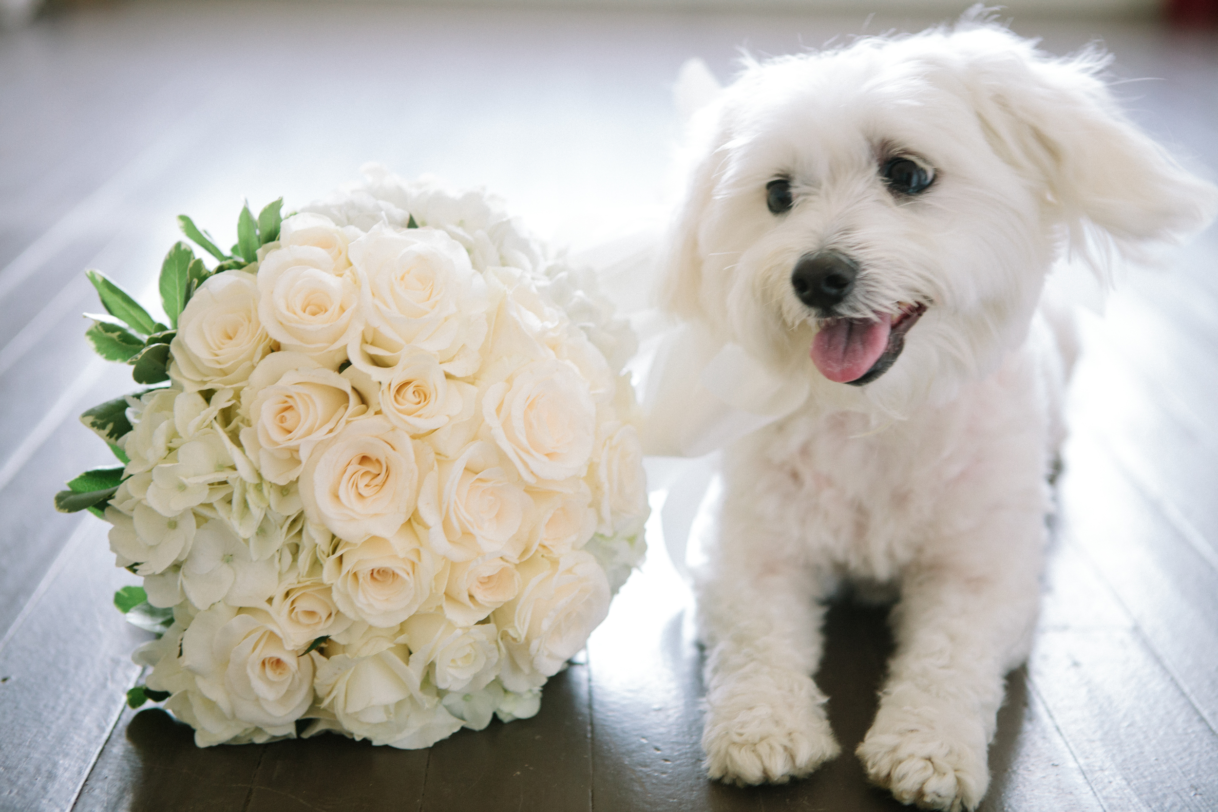 All-white bridal bouquet Augusta, GA wedding florist