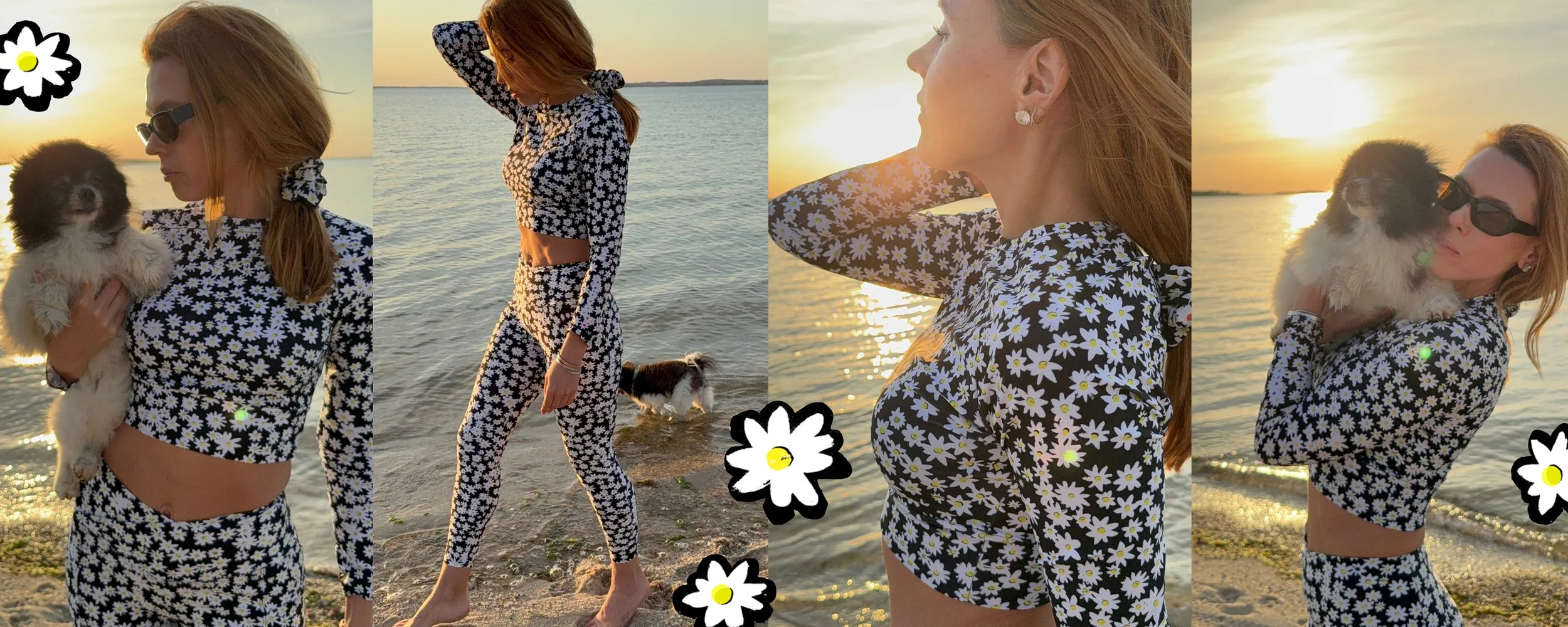 Polina daisy banner.jpg