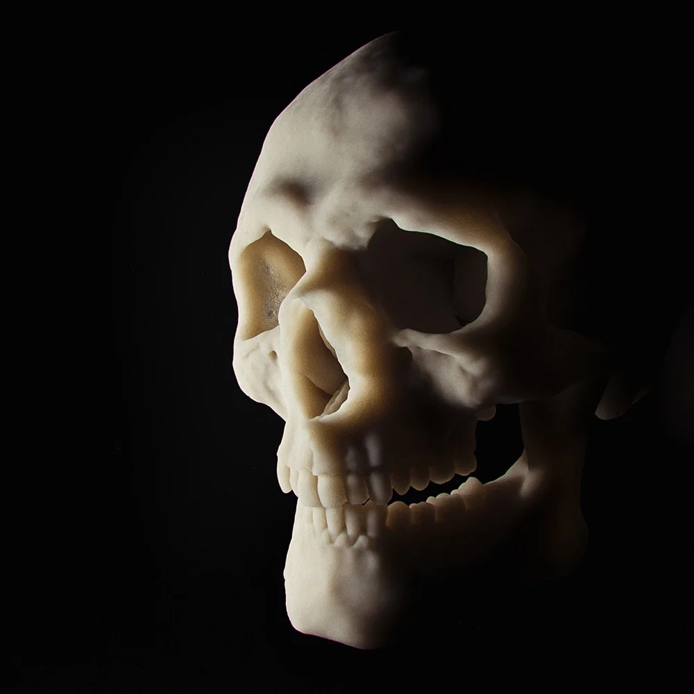 03_skull_close_00.jpg
