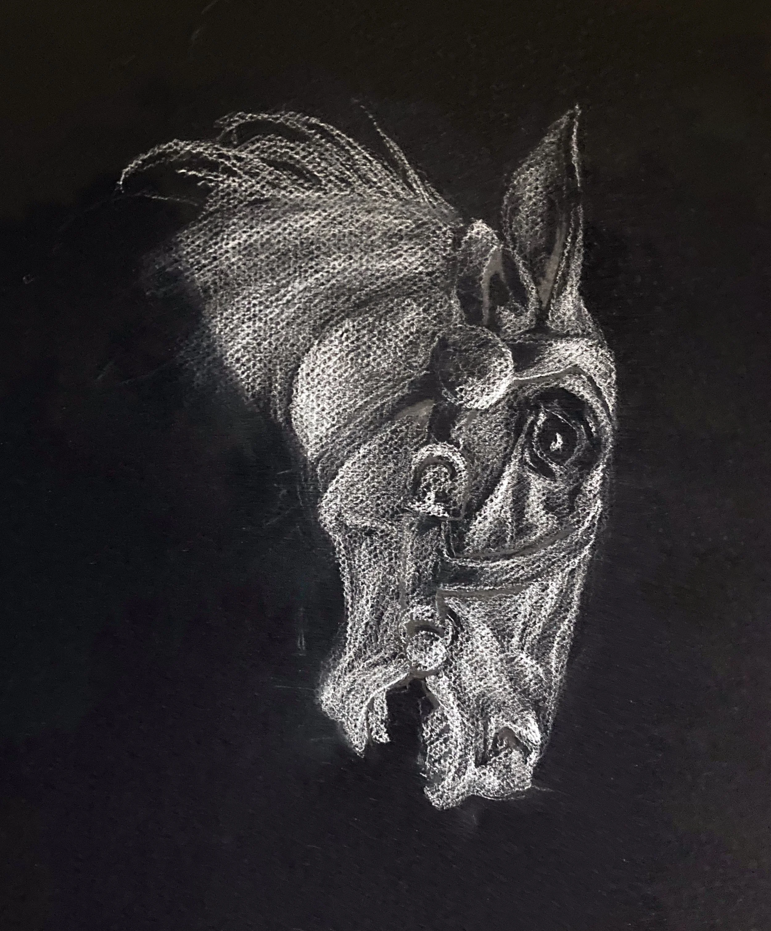 horsehead
