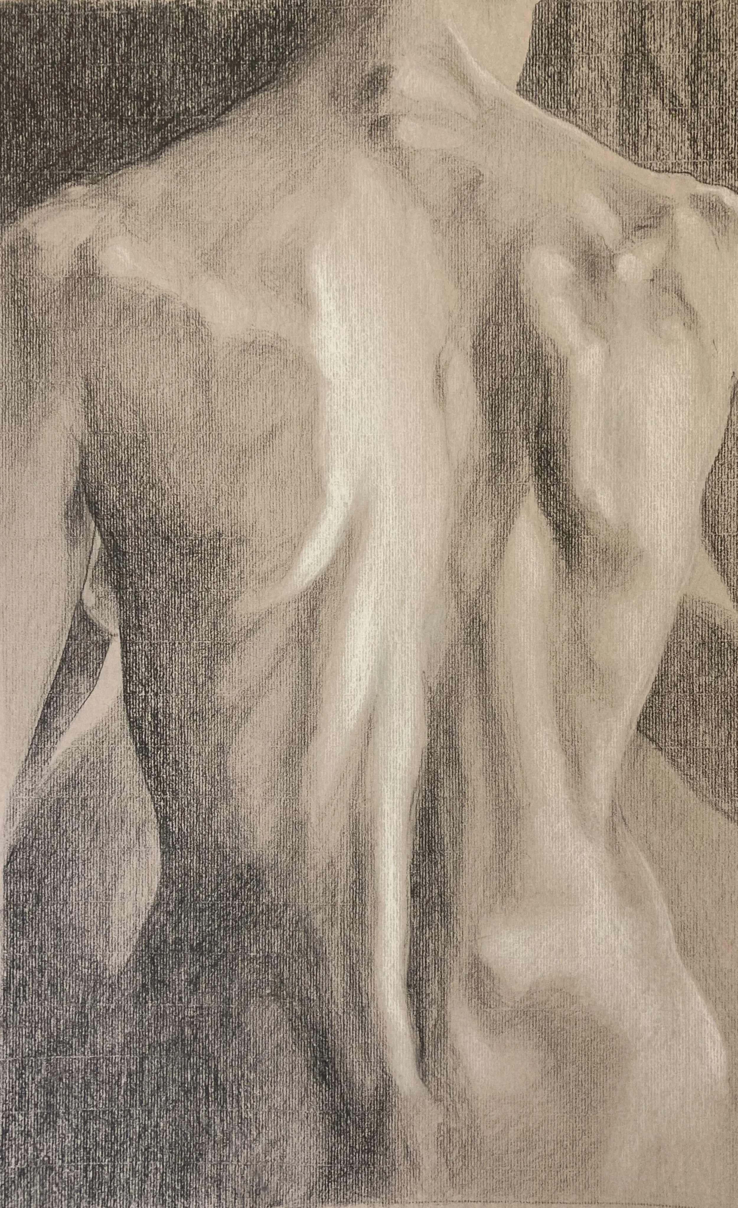 Back study