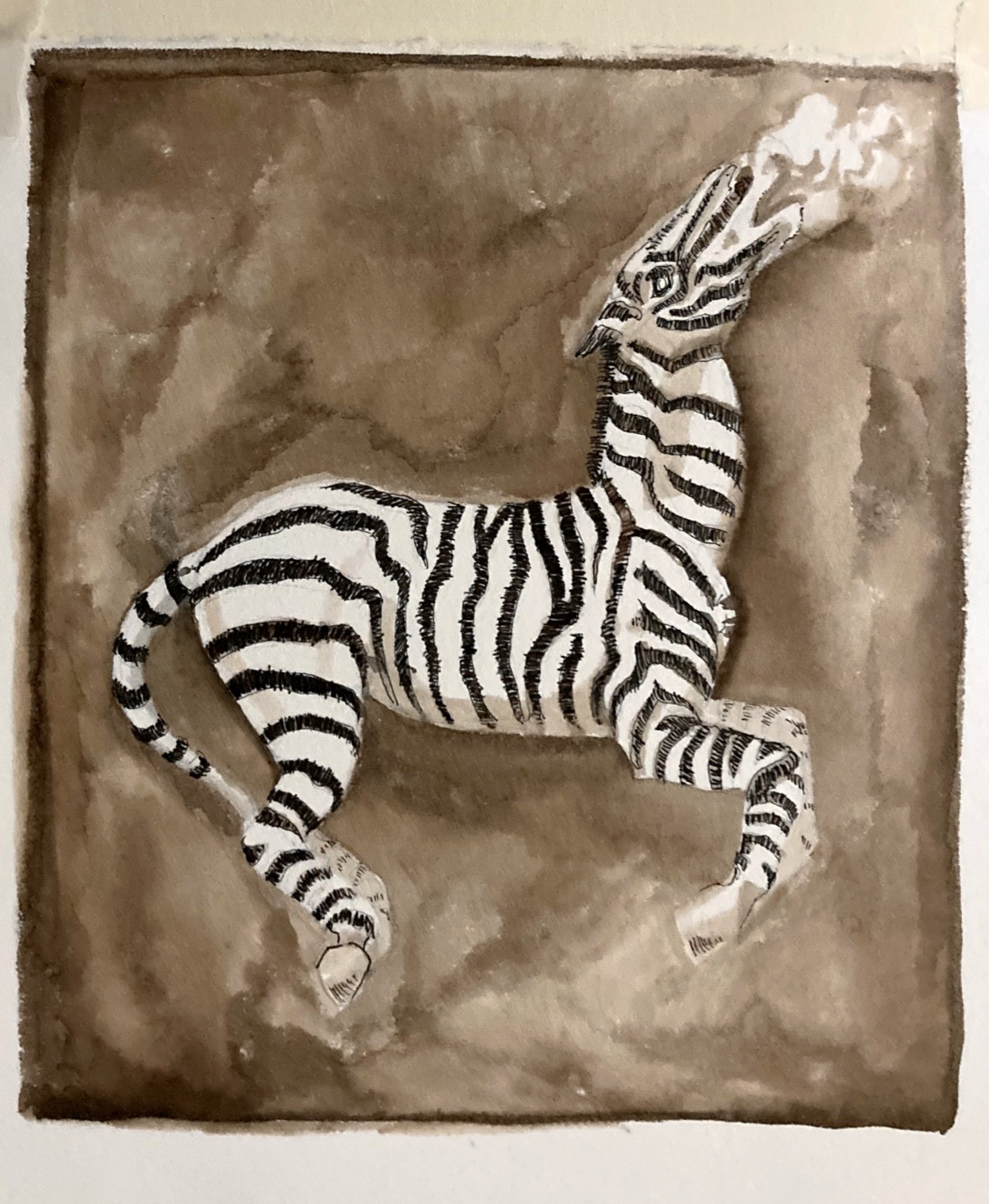 Zebra