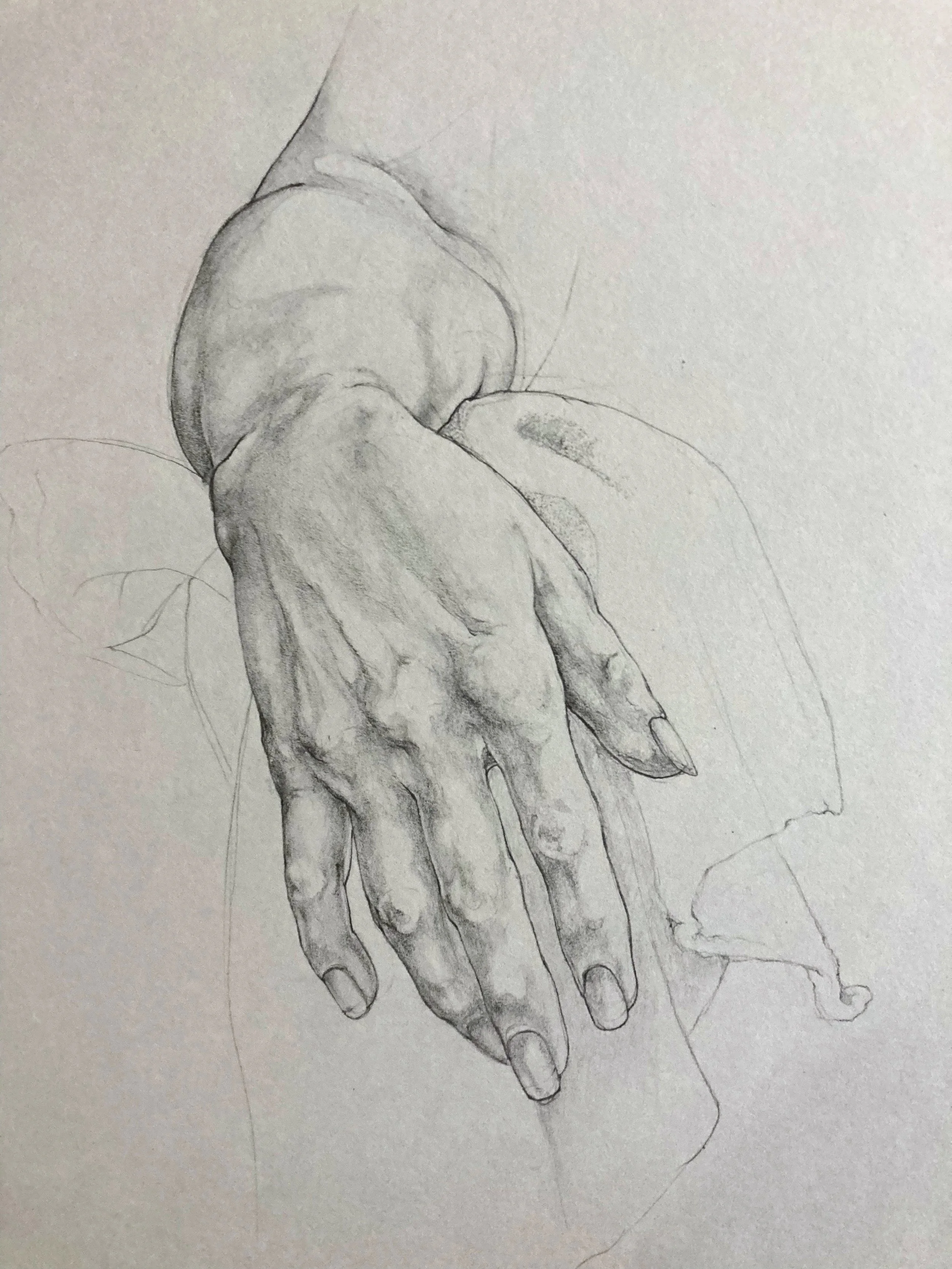 Hand study