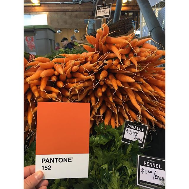Carrots for days @ the #FarmersMarket 🥕
.
.
.
#OlyPantones #Pantone #Colors 
#PantoneColors #PantoneGram #ColorInspiration #Olympia #Orange #Carrots #Produce #OrganicFood #Downtown #Bright #Design #IHaveThisThingWithColor #GraphicDesigner #ThurstonT