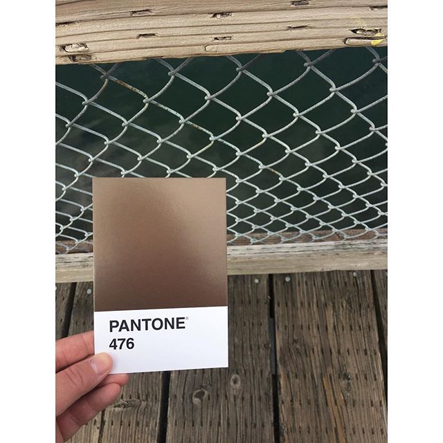 The famous #boardwalk ⛵️
.
.
.
#OlyPantones #Pantone #Colors 
#PantoneColors #PantoneGram #ColorInspiration #Olympia #Brown #Downtown #Bright #Design #IHaveThisThingWithColor #GraphicDesigner #ThurstonTalk