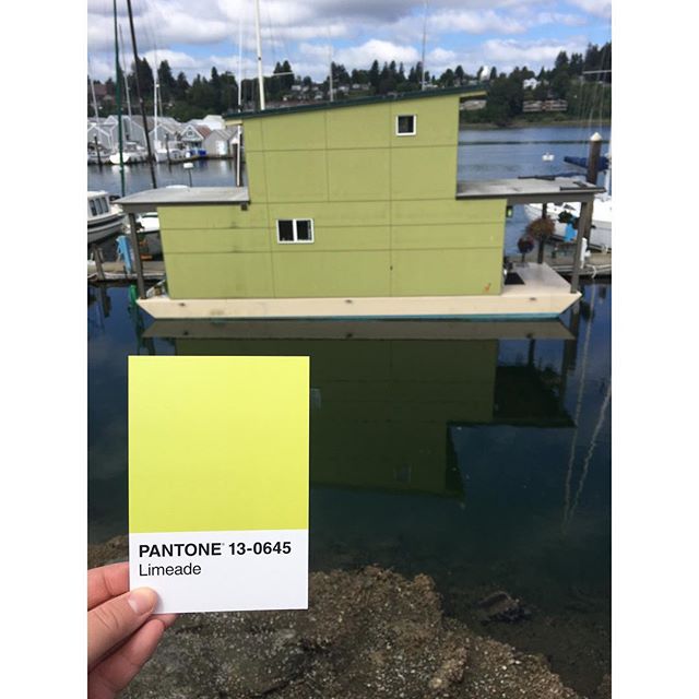 🍋🍈🥝
.
.
.
#OlyPantones #Pantone #Colors 
#PantoneColors #PantoneGram #ColorInspiration #Olympia #Limeade #Boardwalk #PercivalLanding #PugetSound #Downtown #Bright #Design #IHaveThisThingWithColor #GraphicDesigner #ThurstonTalk