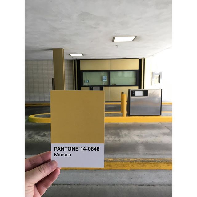 Shades of yellow 💛 Can you guess where this drive through is?
.
.
.
#OlyPantones #Colors 
#PantoneColors #PantoneGram #ColorInspiration #Olympia #Yellow #Mimosa #PugetSound #Downtown #Bright #Design #IHaveThisThingWithColor #GraphicDesigner #Thursto
