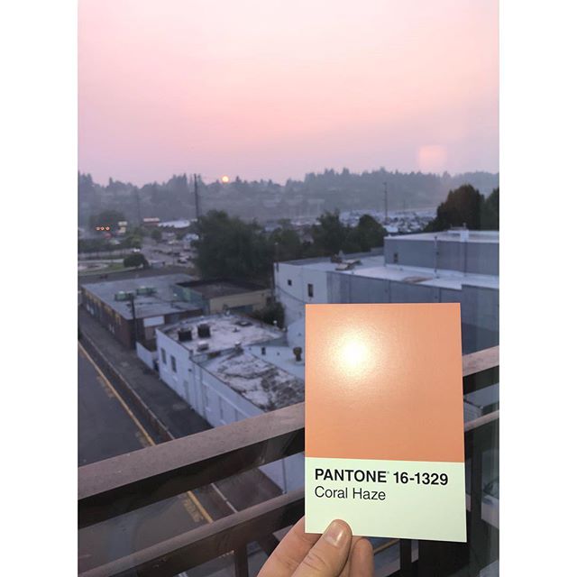 #CoralHaze - a nice way to describe an upsetting situation 🔥
.
.
.
#OlyPantones #Colors 
#PantoneColors #PantoneGram #ColorInspiration #Olympia #PugetSound #Downtown #Red #Fire #ForestFires #SaveTheForests #SmokeyBear #Design #IHaveThisThingWithColo