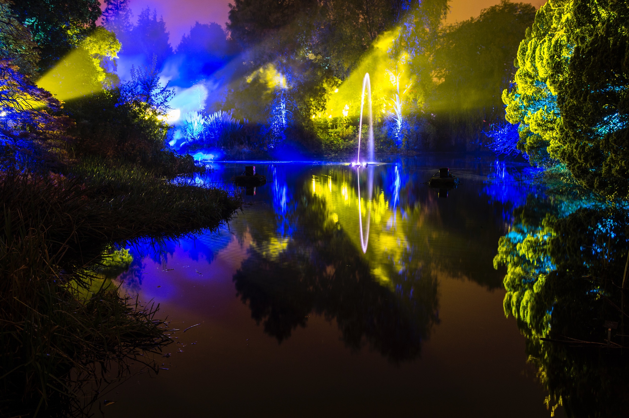 Award winning Botanic Lights at the Royal Botanic Gardens in Edinburgh is back.  As night falls, visitors can follow a magical trail of light through the Botanics..jpg