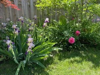 image2.jpeg