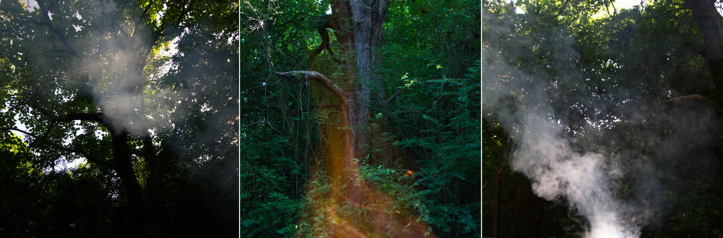 waht_remains_smoke_tryp copy.jpg