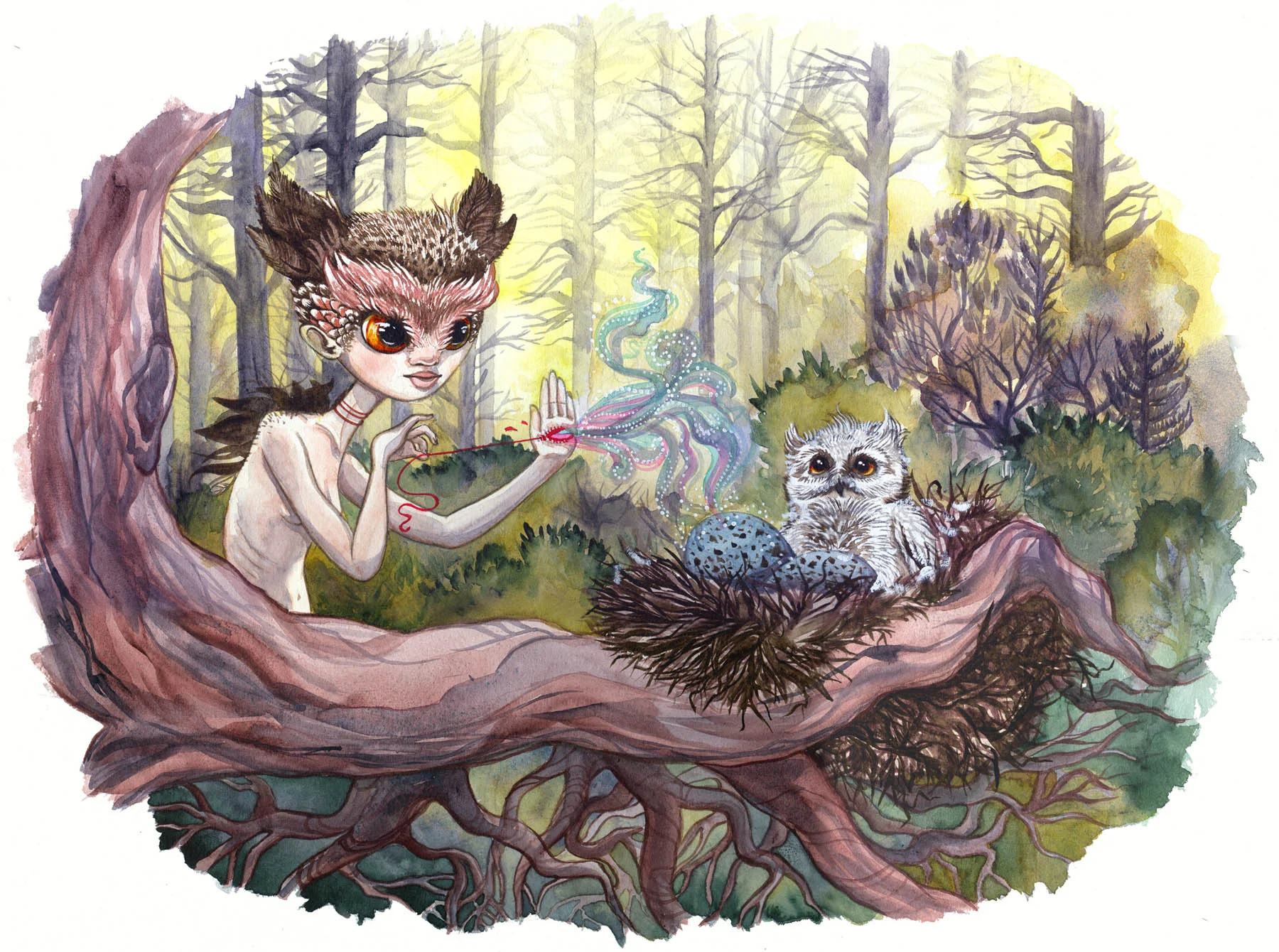 Transformation of Owls