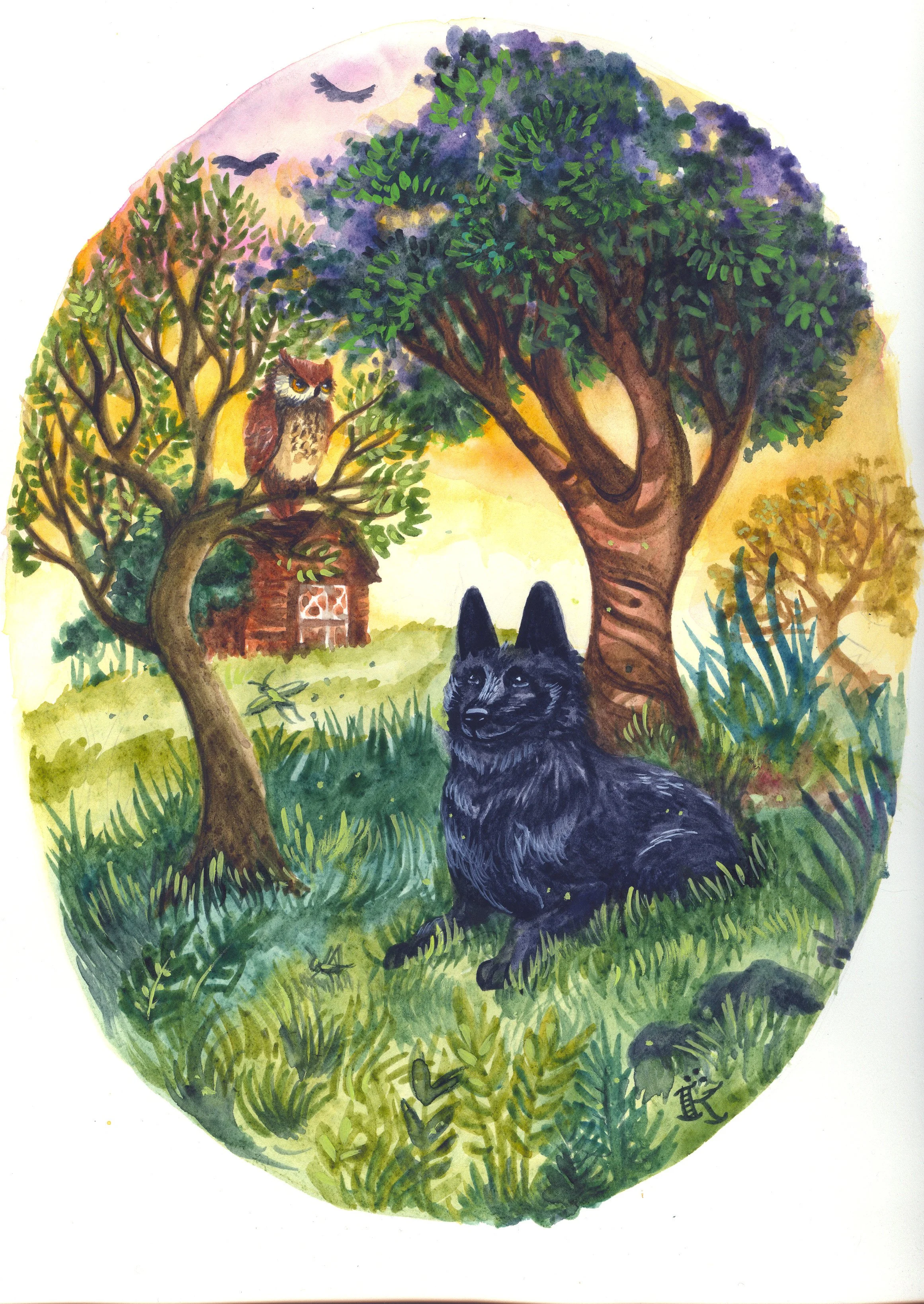 Pet Portrait