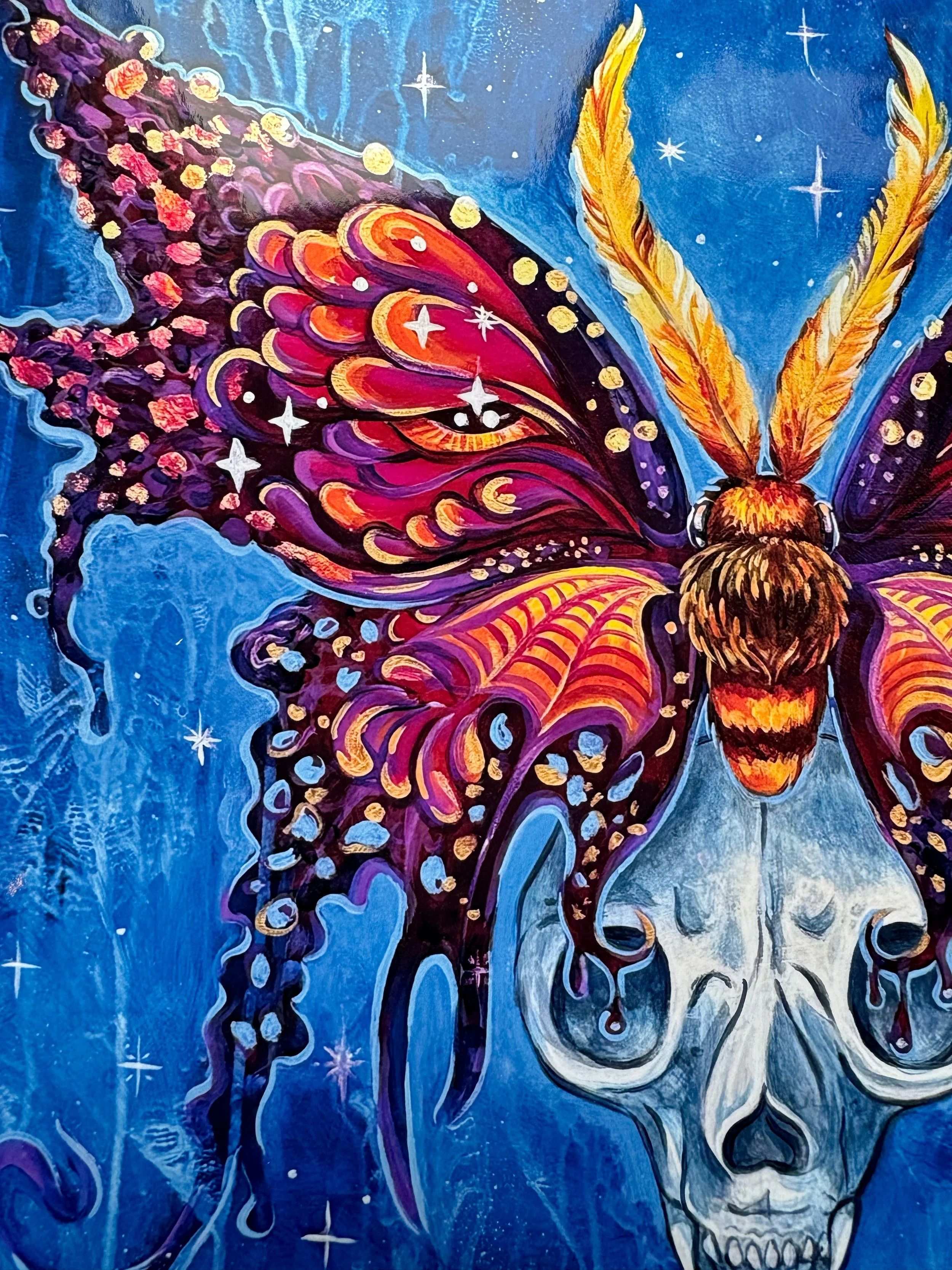 Moth_5.jpg