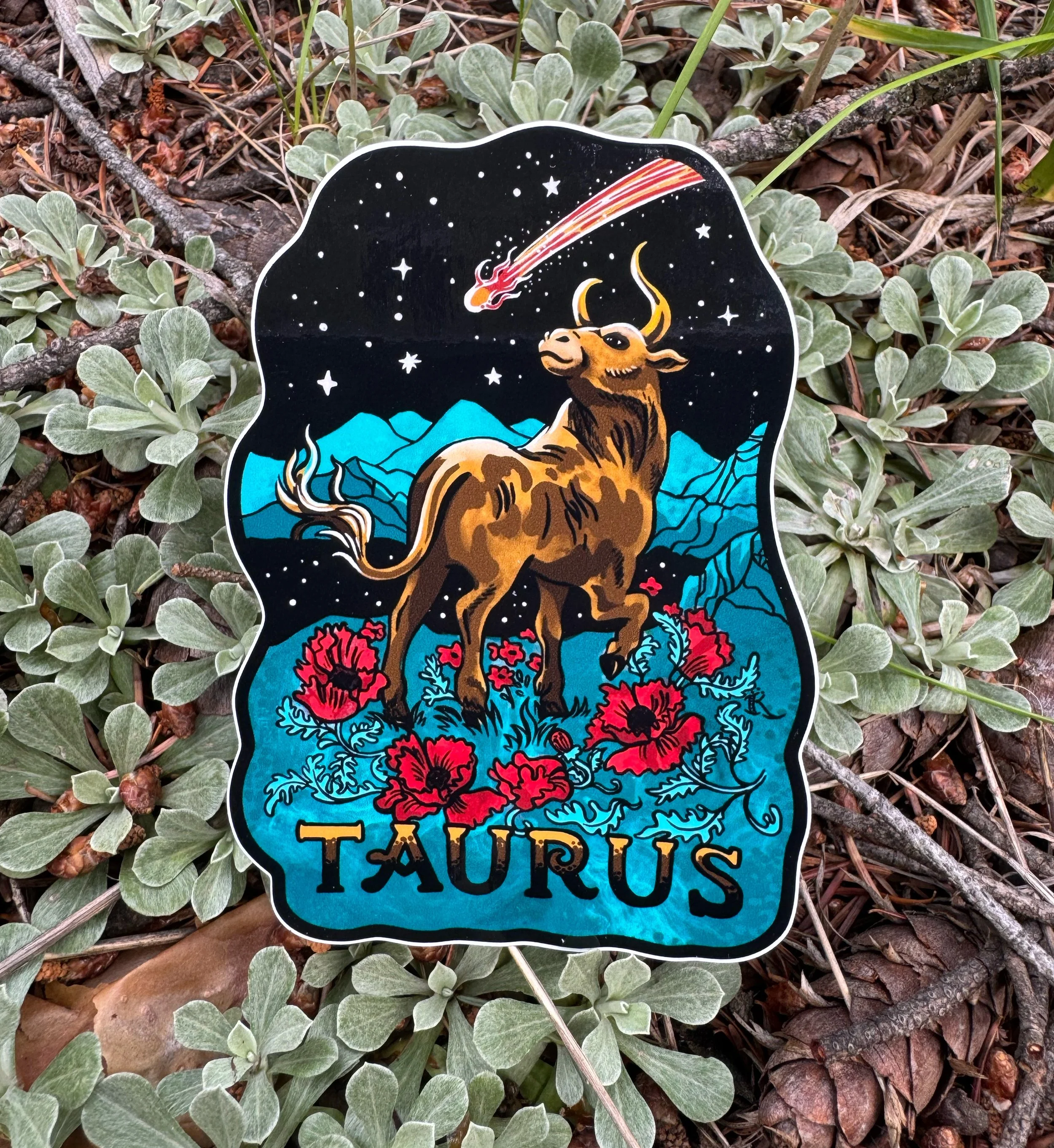 Taurus1.jpg