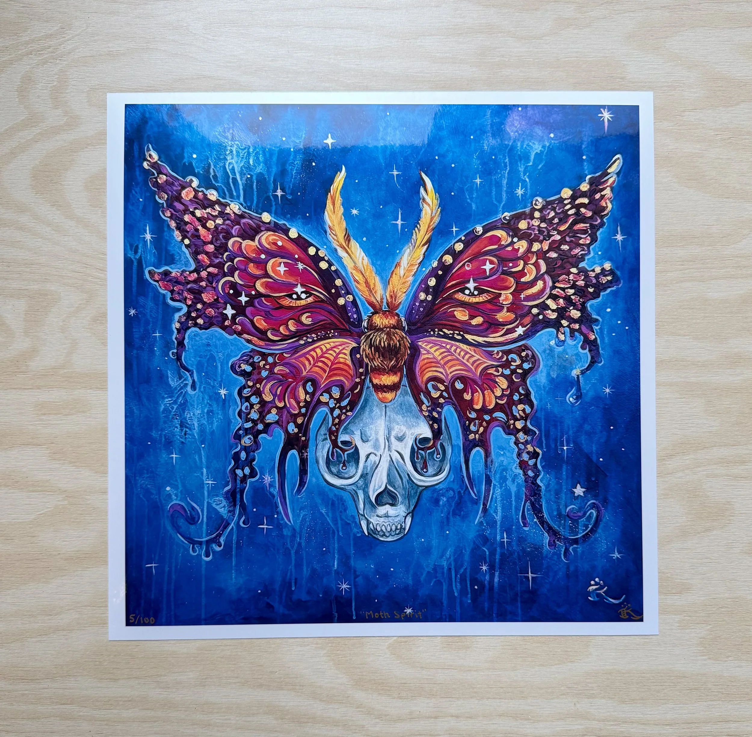 Moth_1.jpg