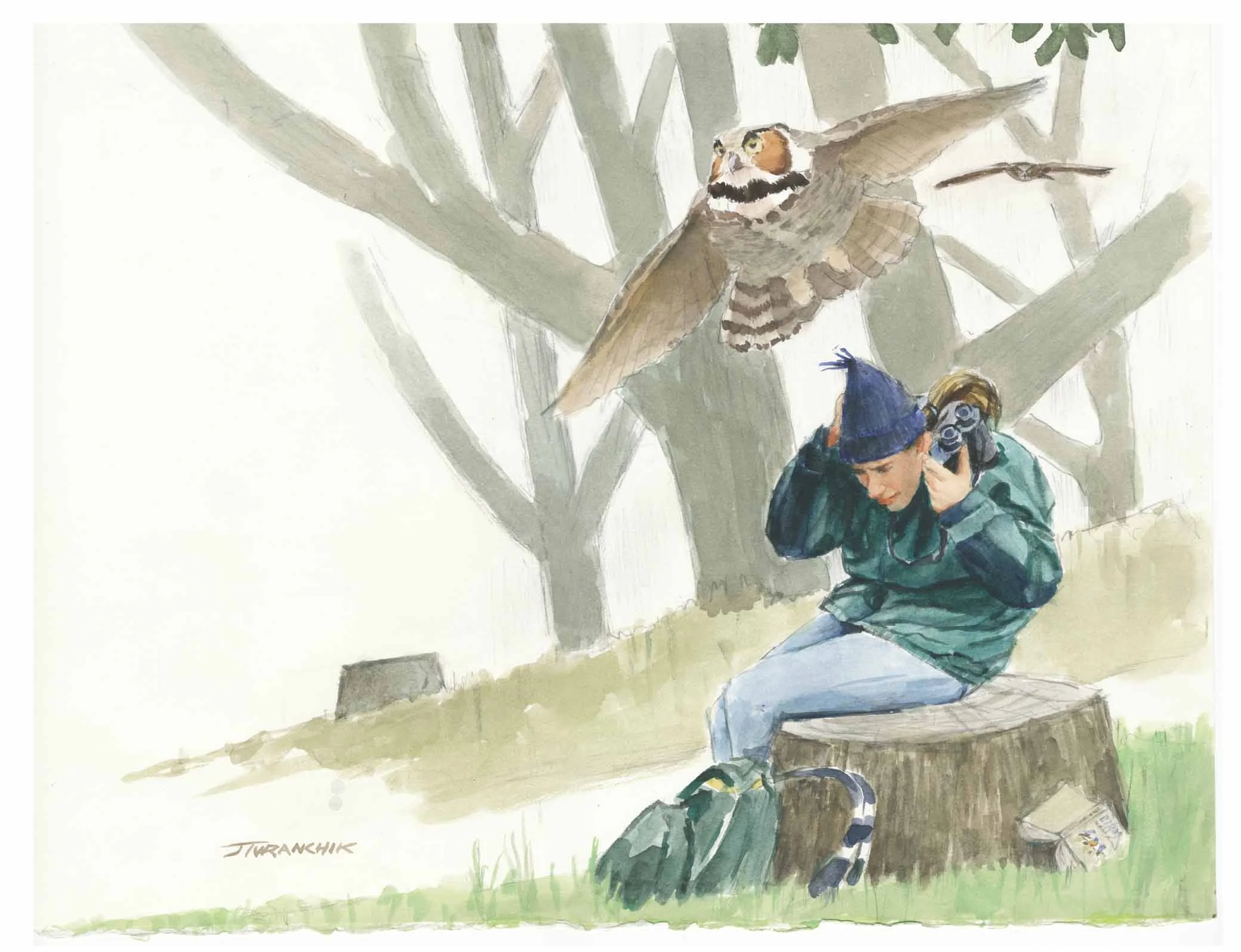 owl Attack