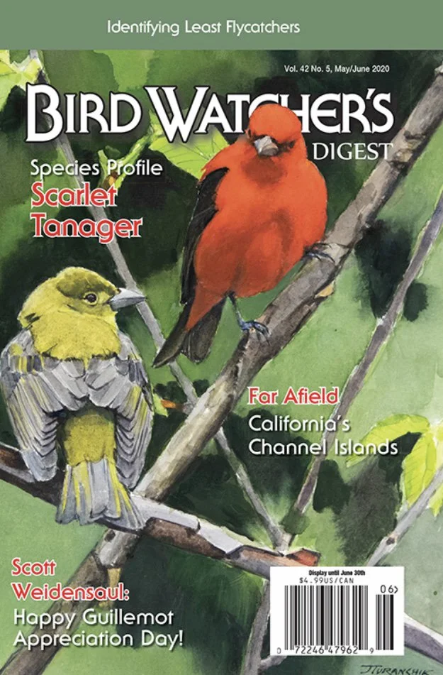 Actual Cover.jpg