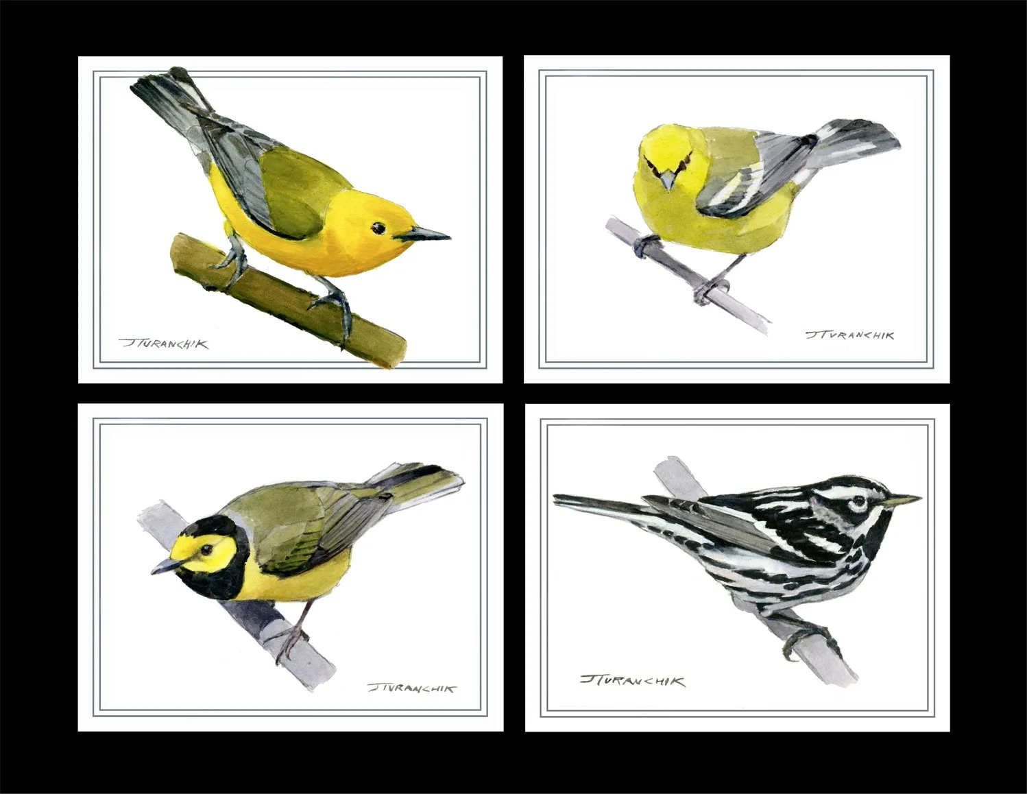 Prothonotary Series reduced.jpg