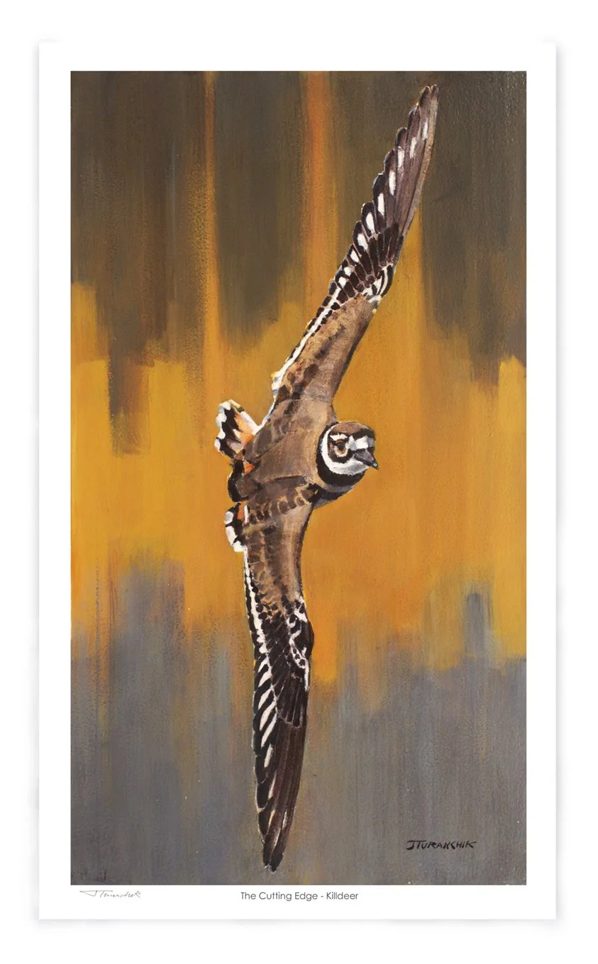 The Cutting Edge FINAL VERSION print reduced shaded 2.jpg