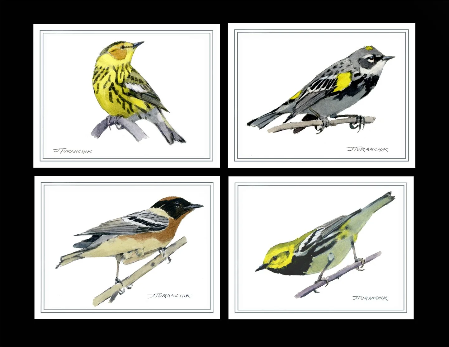 Cape May Series reduced.jpg