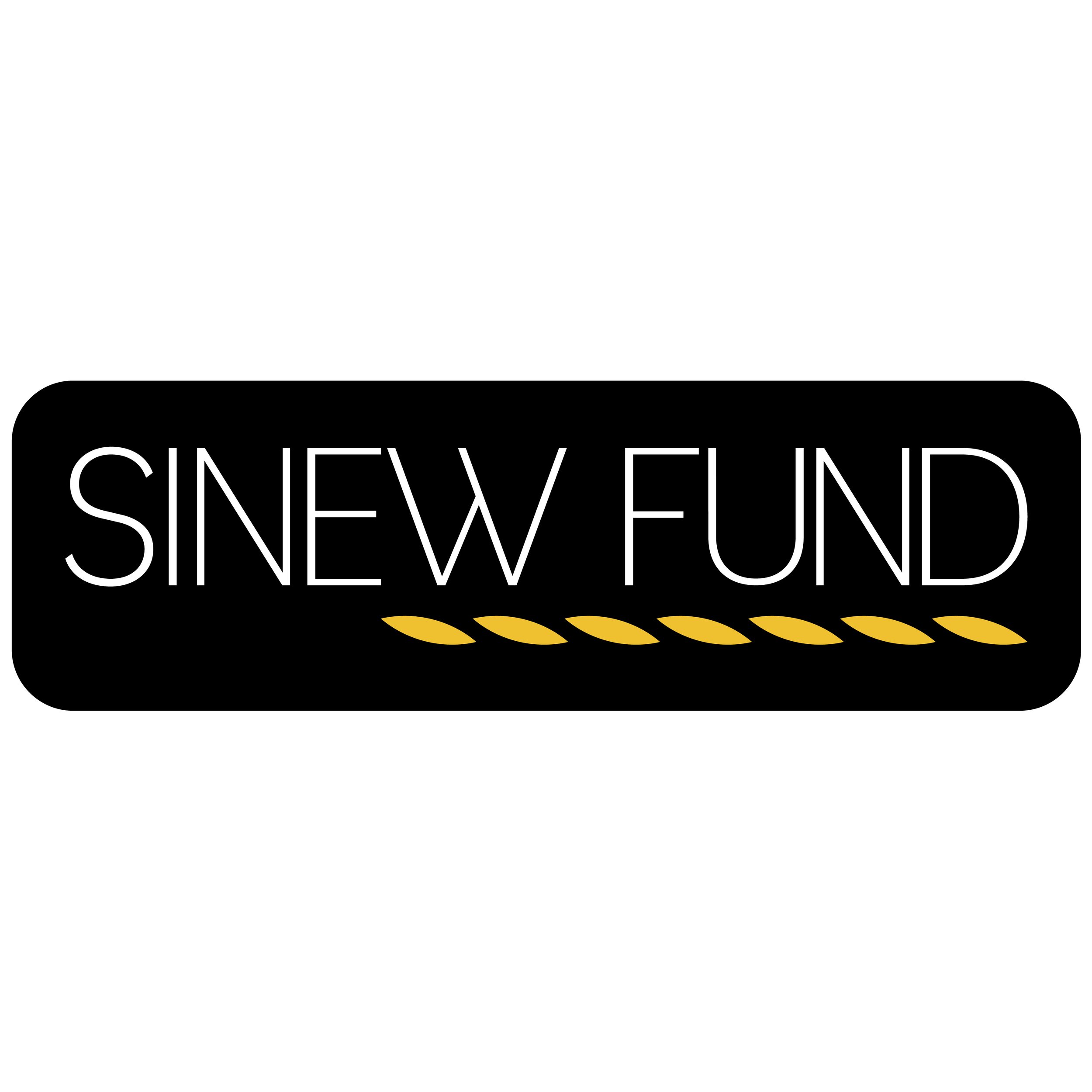 Sinew Fund for Lakota Artists