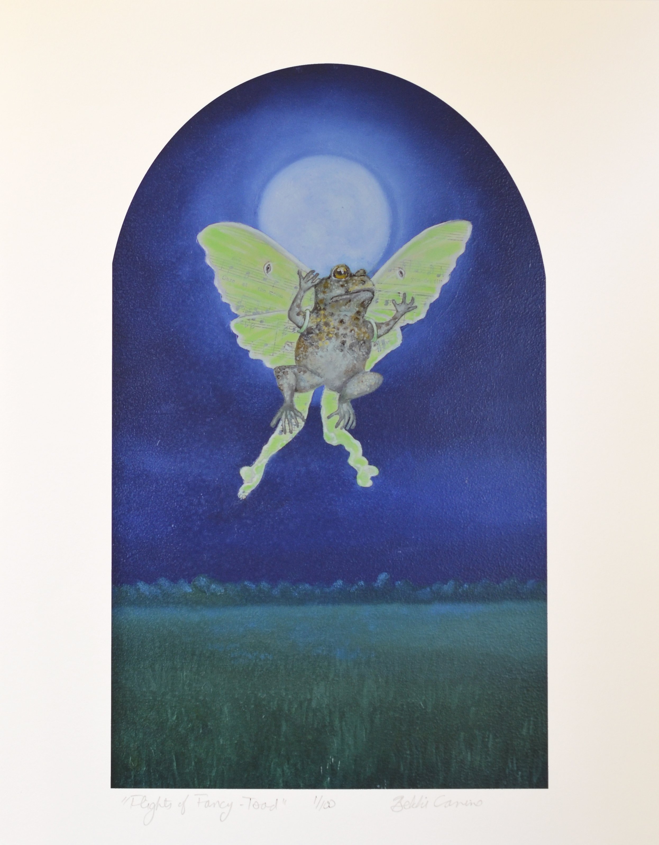 print flights of fancy toad.jpg