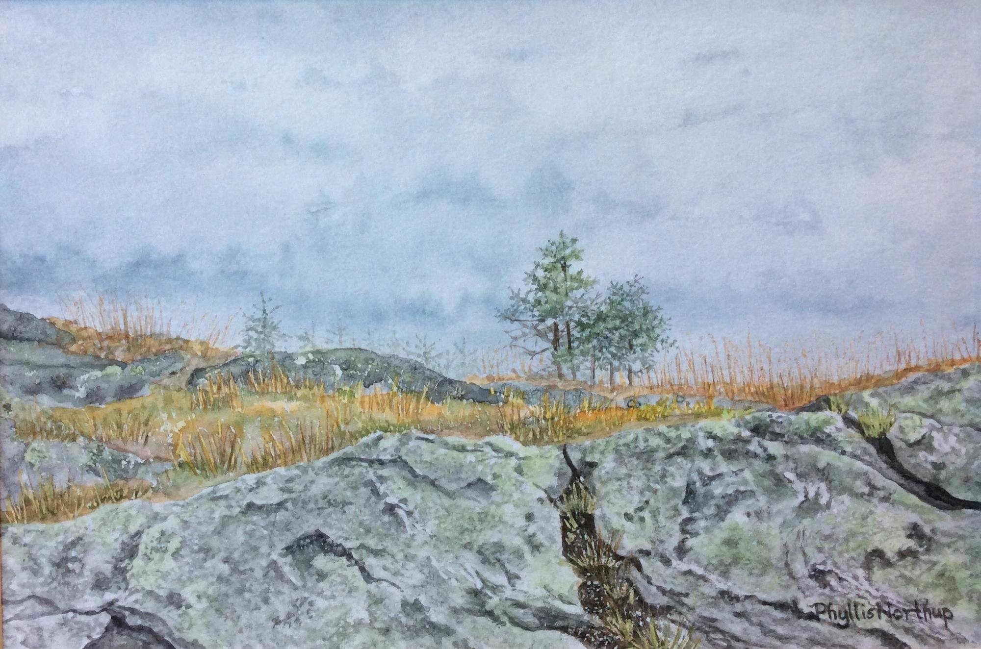 Fog on the Summit