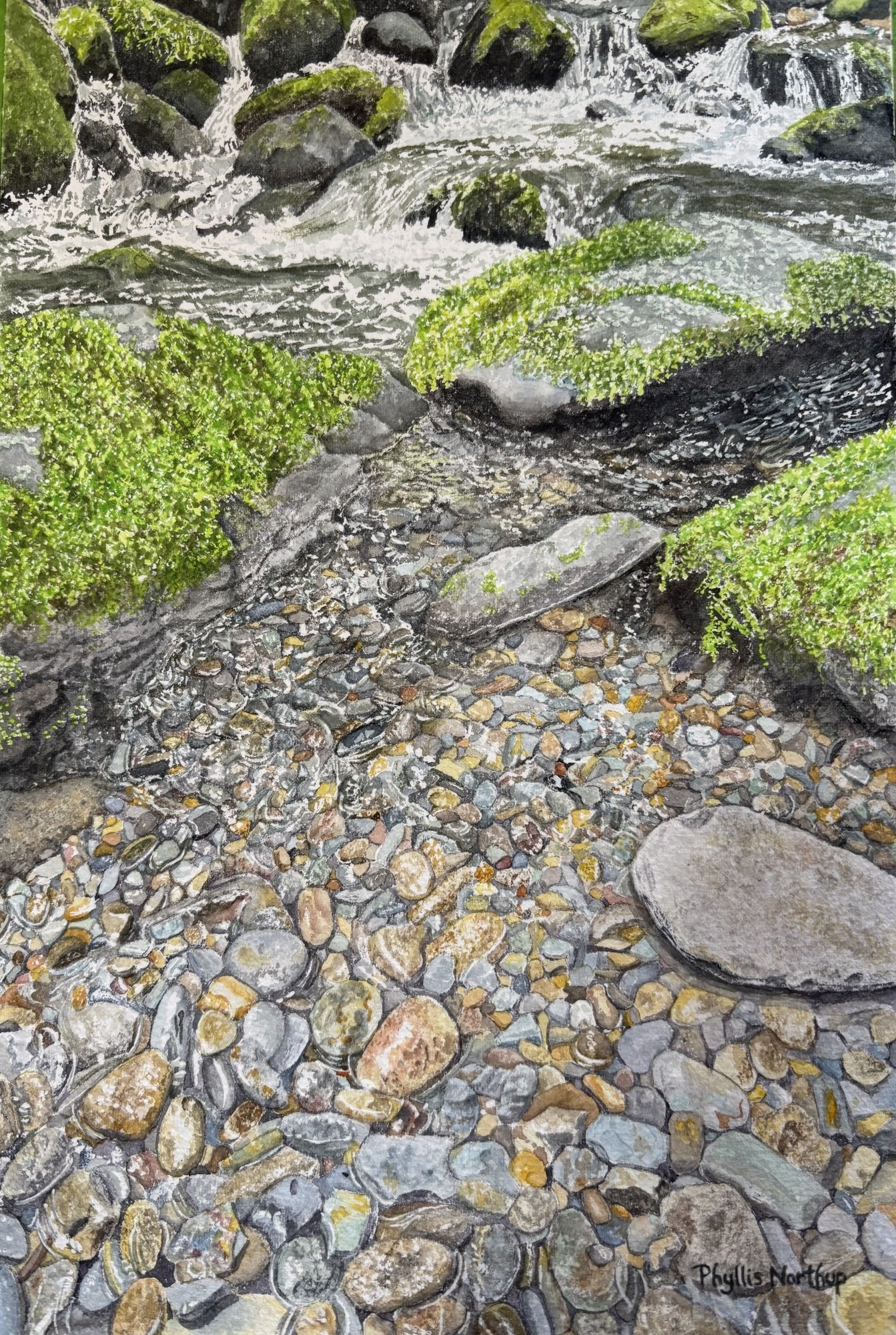 Mountain Stream