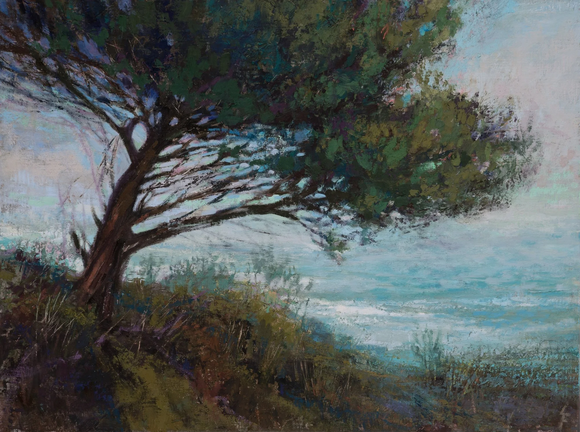 Amalfi Coast Drive
